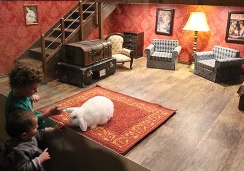 A simply 'amazing' business for sale