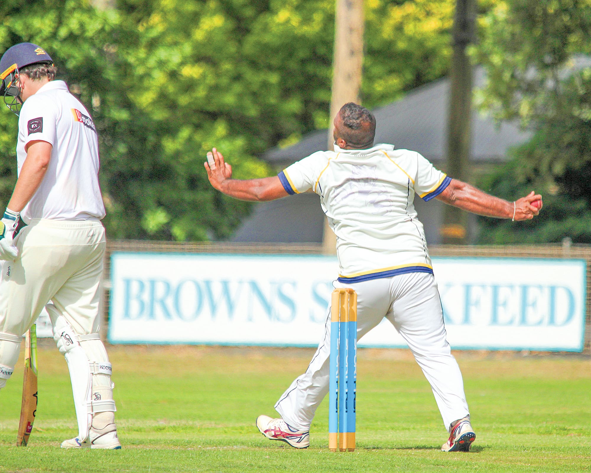 Cougars attack claims day one