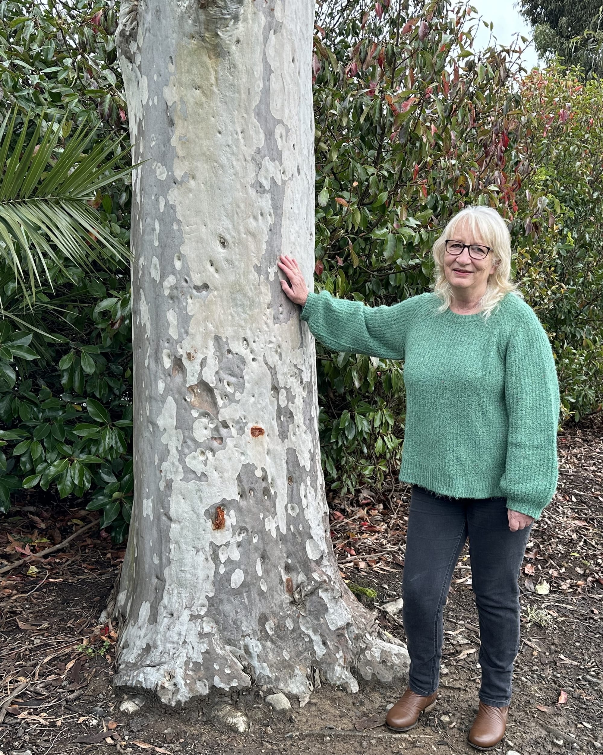 Mirboo North protection area declared as new Conservation Park