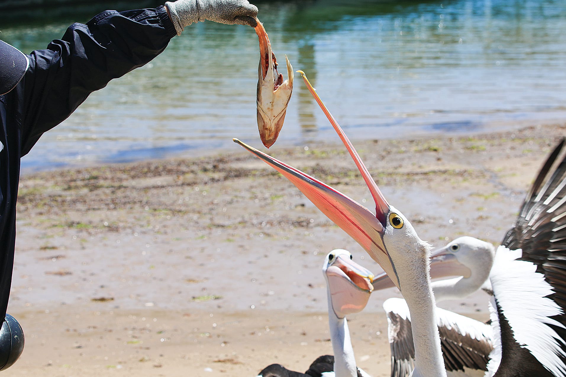 Tourism numbers down but spending up