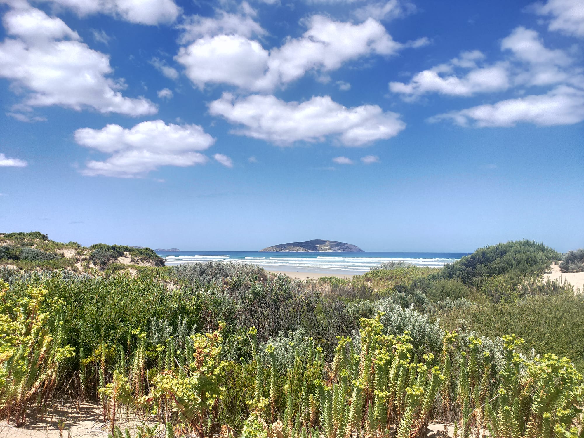 Easier to get a Taylor Swift ticket than a campsite in Victoria, says Opposition