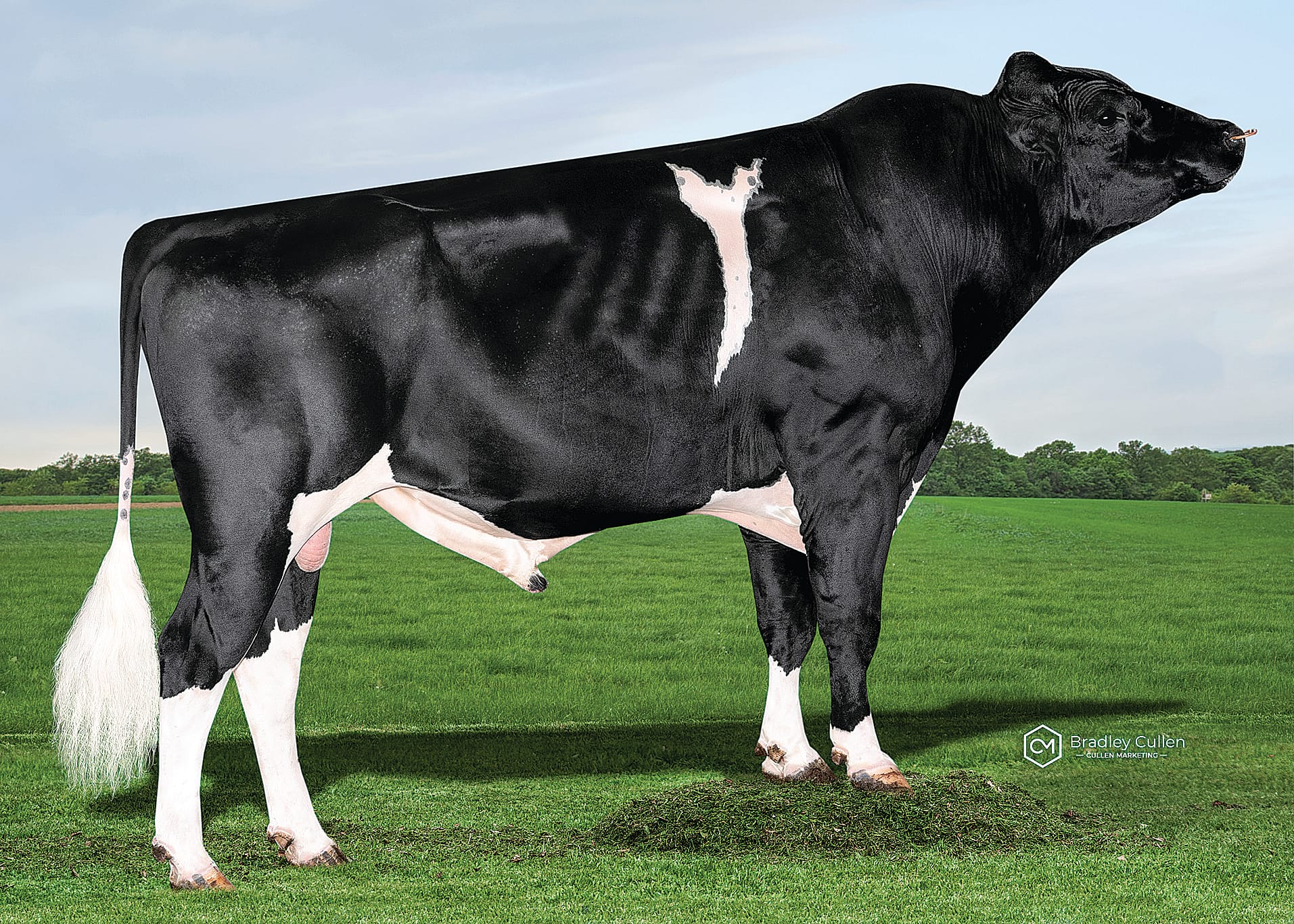 Highlighting strength and sustainability