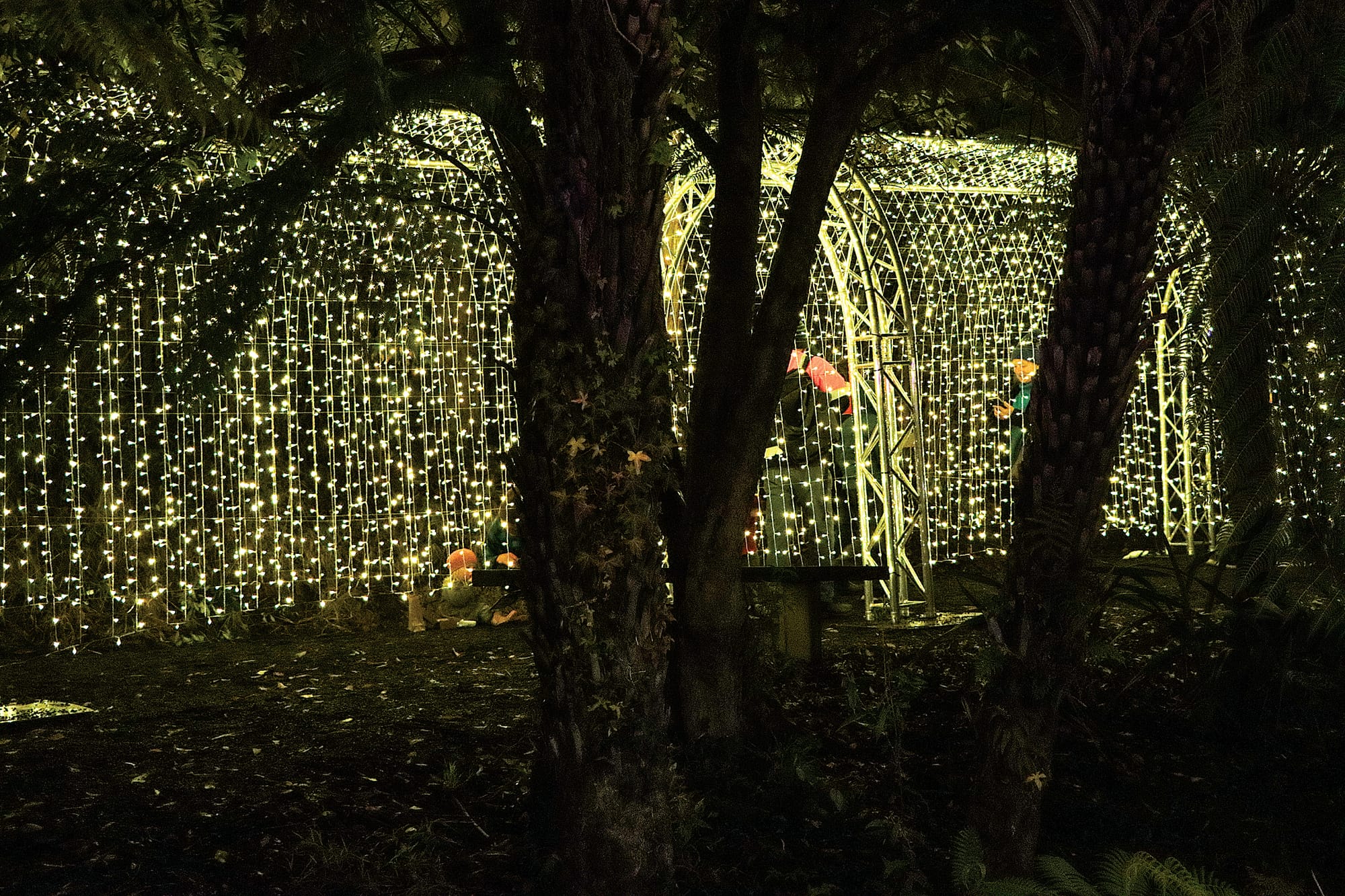 A stunning lit archway was one of the features of the Southern Lights Festival. A41_2325