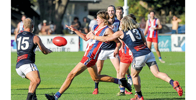 Bulldogs and a dog defeat Panthers