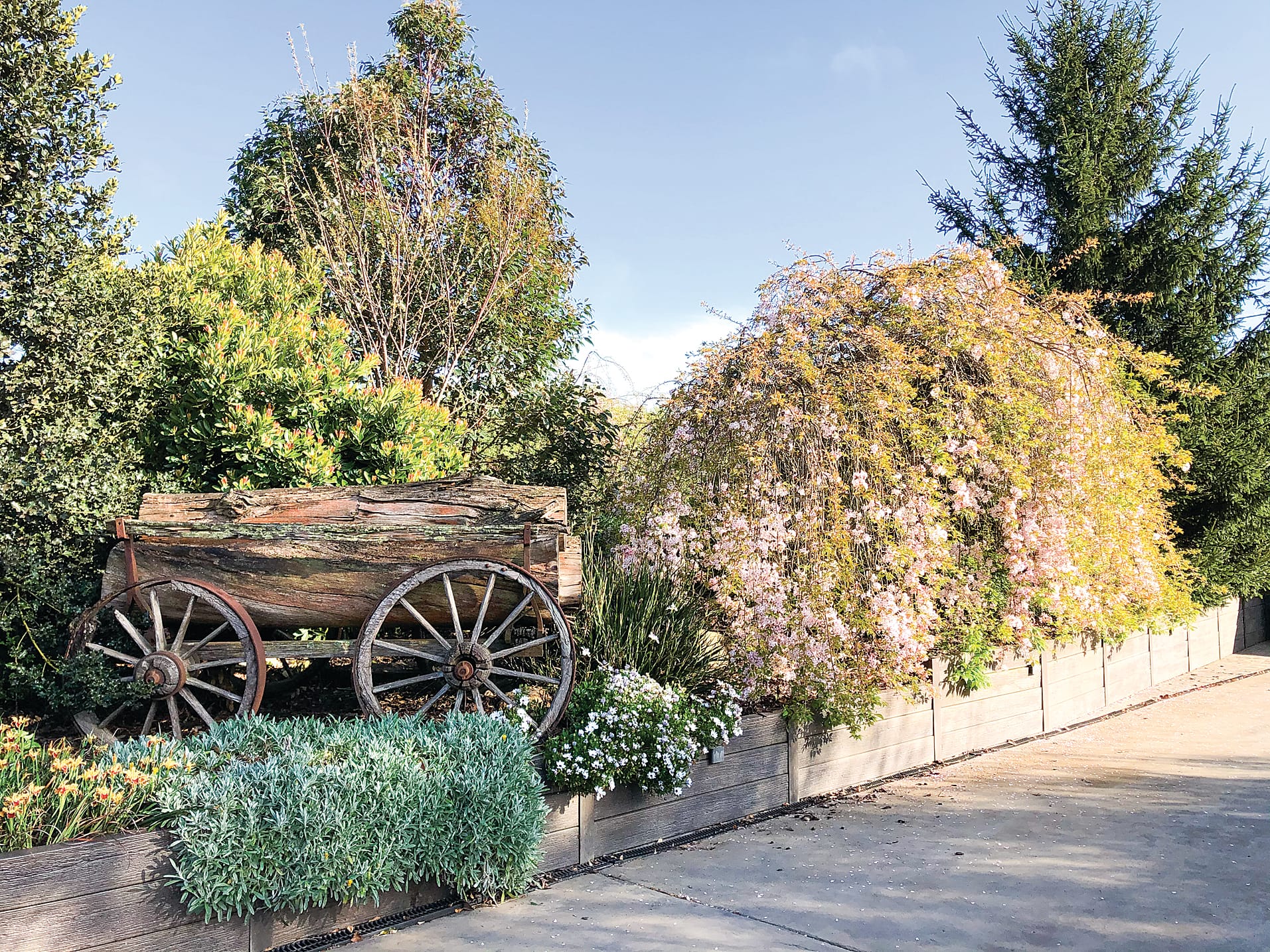 Only open on Sunday, pop by Trafalgar and visit ‘Bellissimi Alberi’ with lush flower beds and forest pansies. 