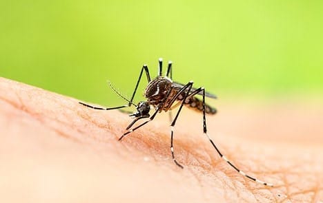Take your own precautions against mosquito bites