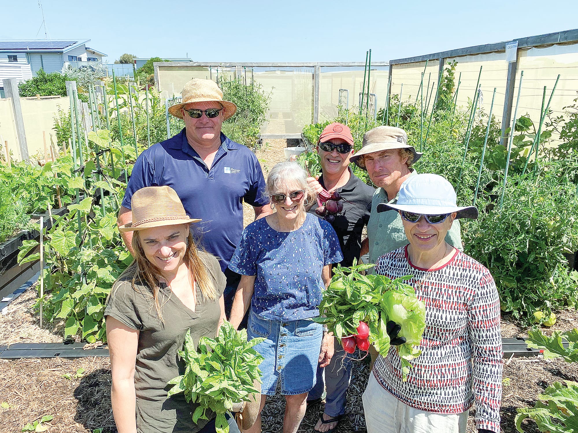The Cape Community Farm, featuring its individual vegie patches for members, has become central to the way the project and the community functions.