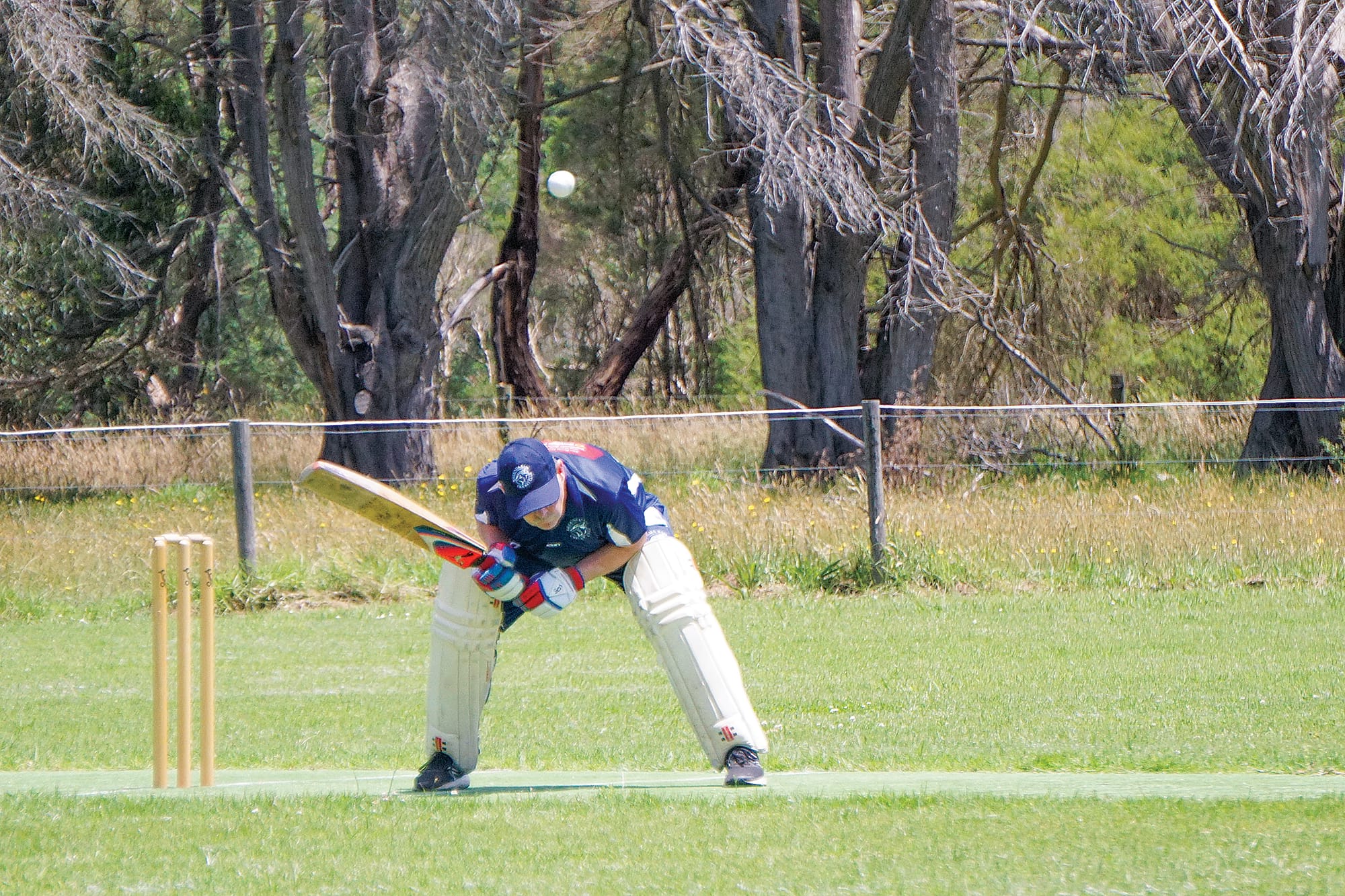 Heads up! Hammer ducks a close one.