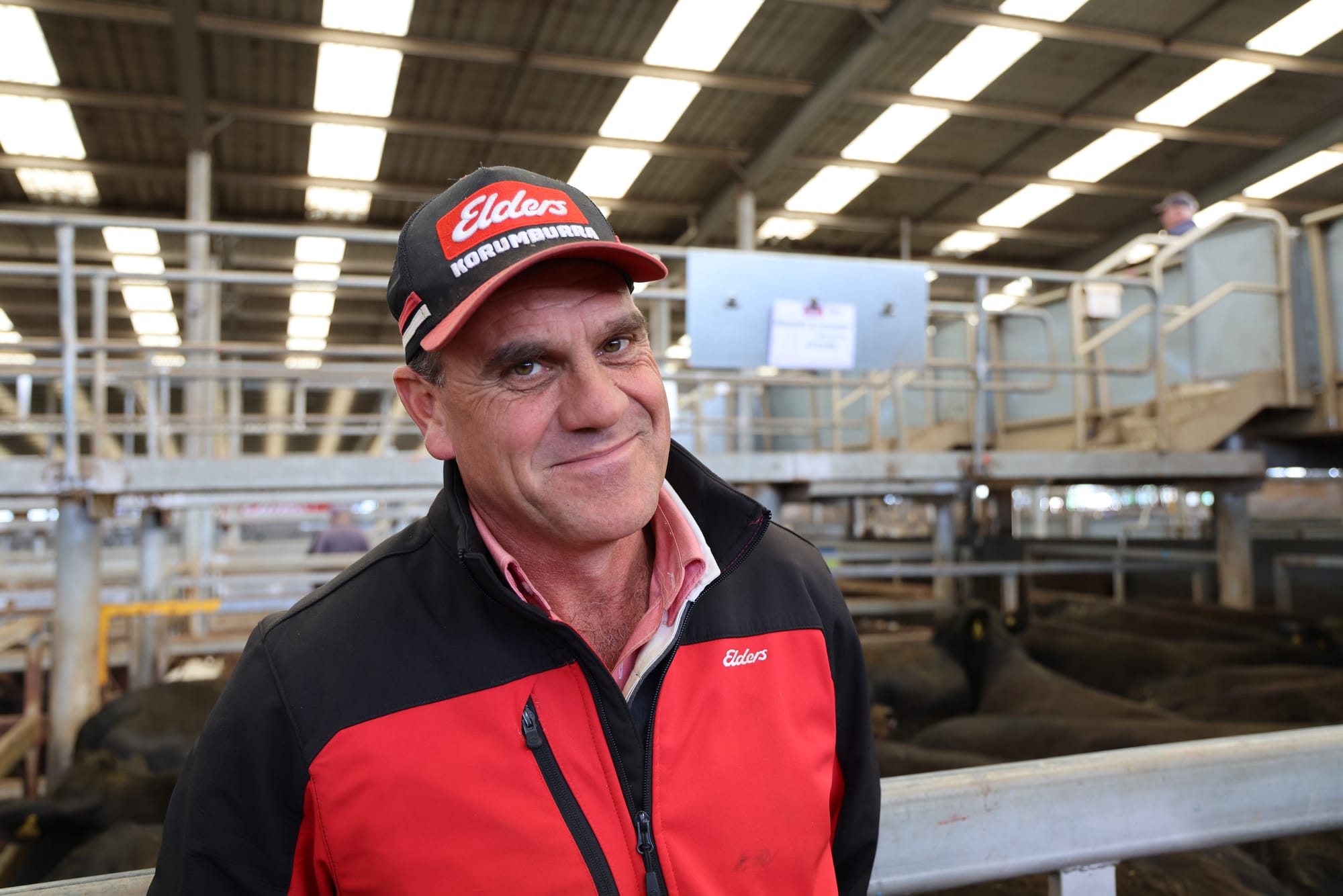 A cautious start to spring according to Korumburra Elders Agent Jason Fry with weaner calves fetching up to $6.50/kg. B25_3825