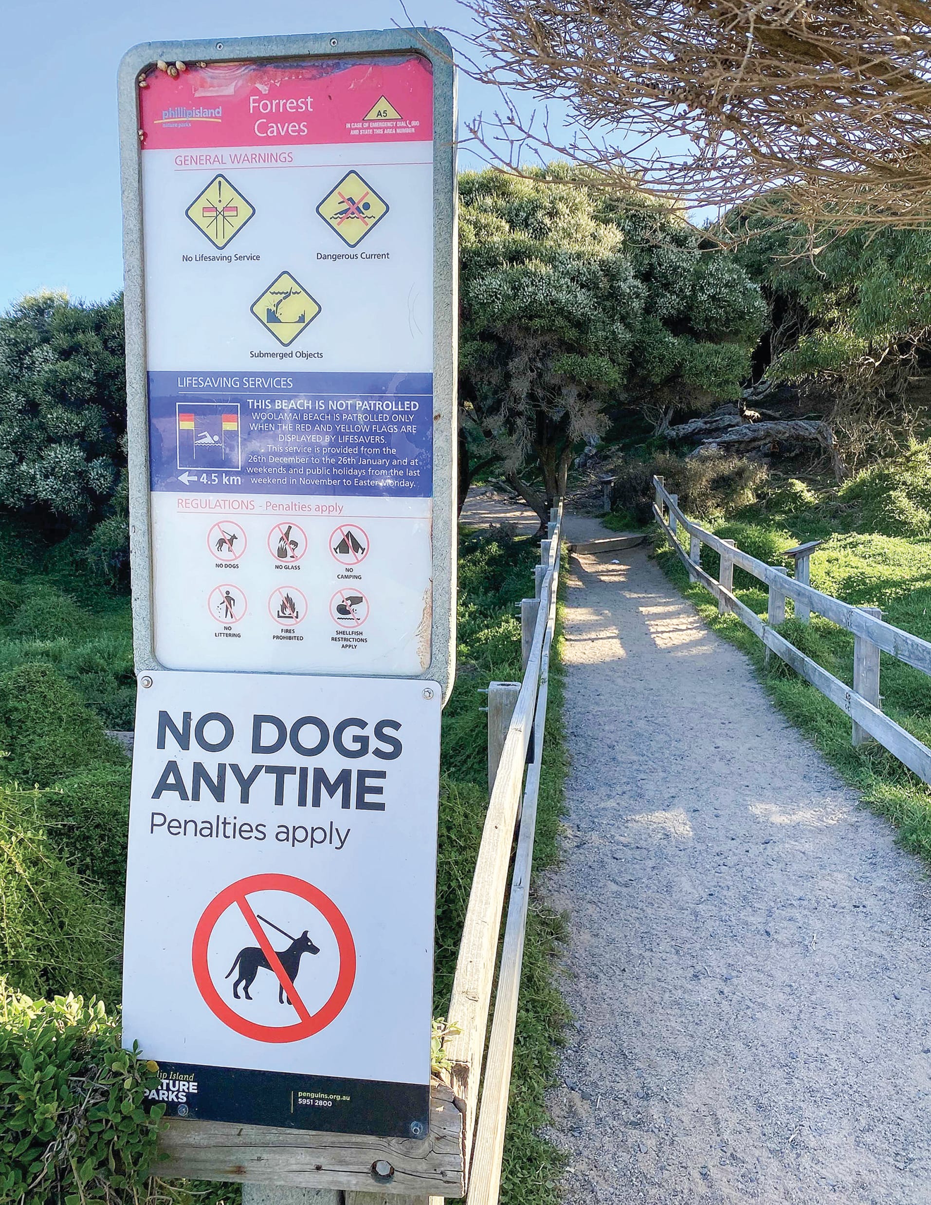 The ‘General Warning’ sign at Forrest Caves, including a small logo advising of ‘Dangerous Current’ with advice about the location of a patrolled beach at Woolamai Beach 4.5km away. The ‘No Dogs Anytime Penalties Apply’ sign posted by Phillip Island Nature Parks, which manages the foreshore, is almost 50-times bigger than the ‘Dangerous Current’ warning.