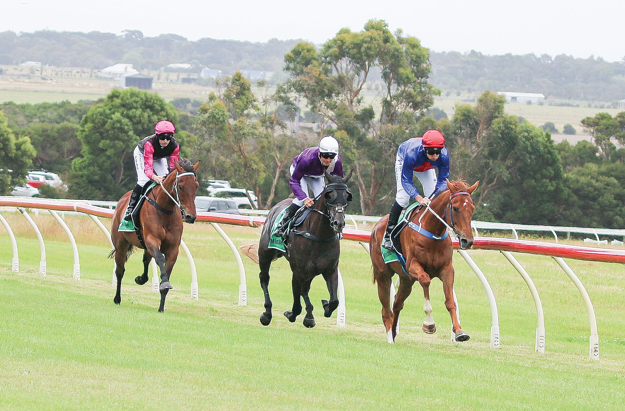 Mannerist led the field in the third race of the day. ob15_0124