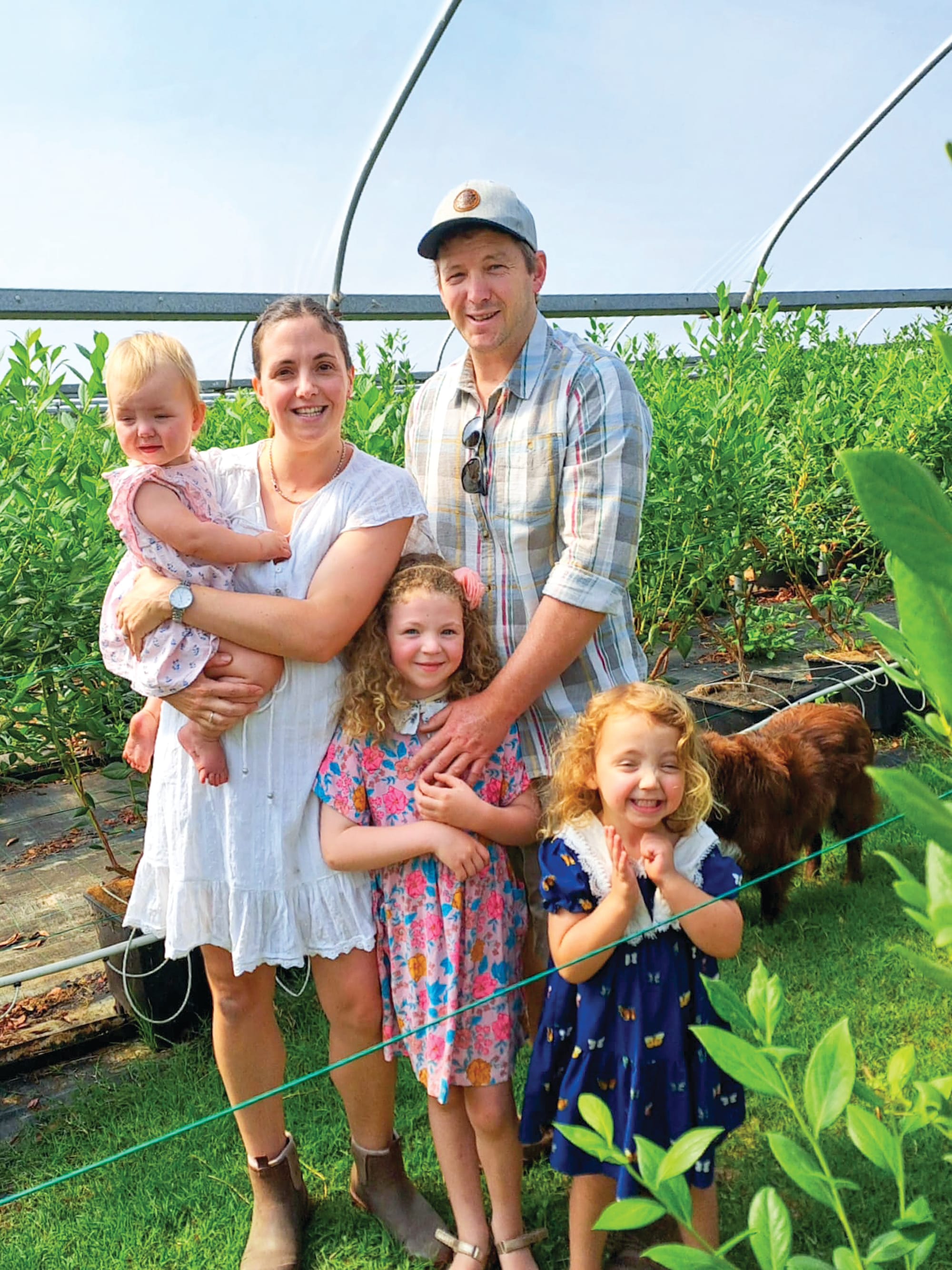 Blueberries straight from Corinella