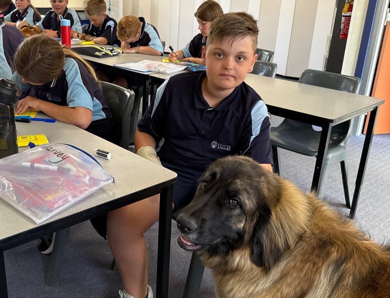 Why teaching’s gone to the dogs at Loch primary