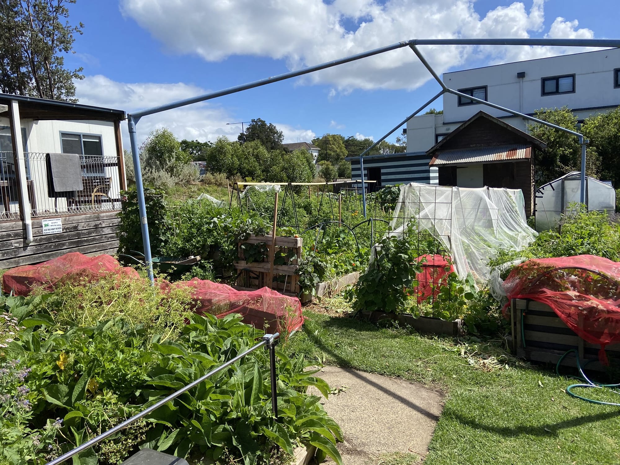 Cruel theft impacts food relief program