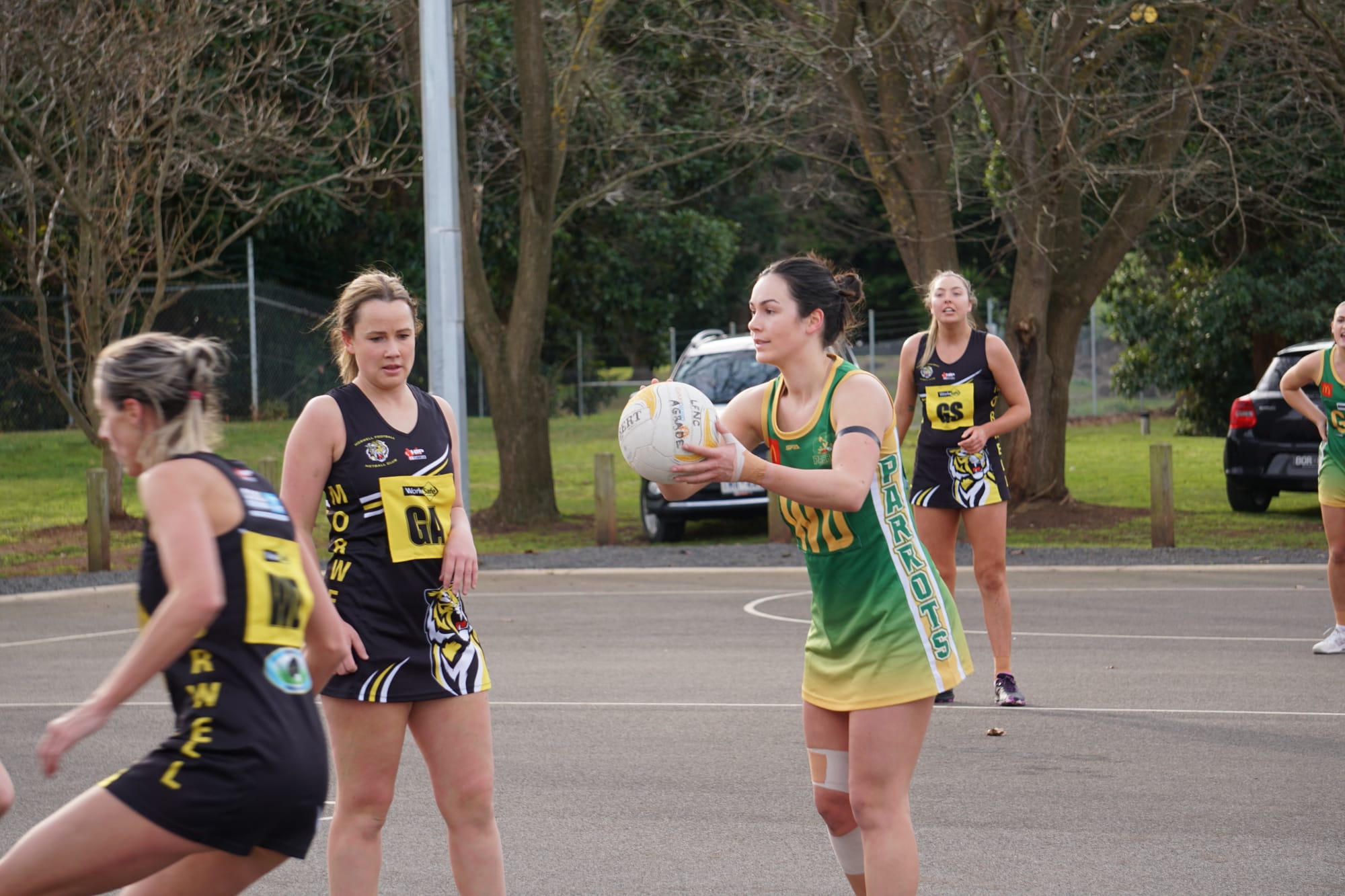 Parrots and Power ready themselves for finals