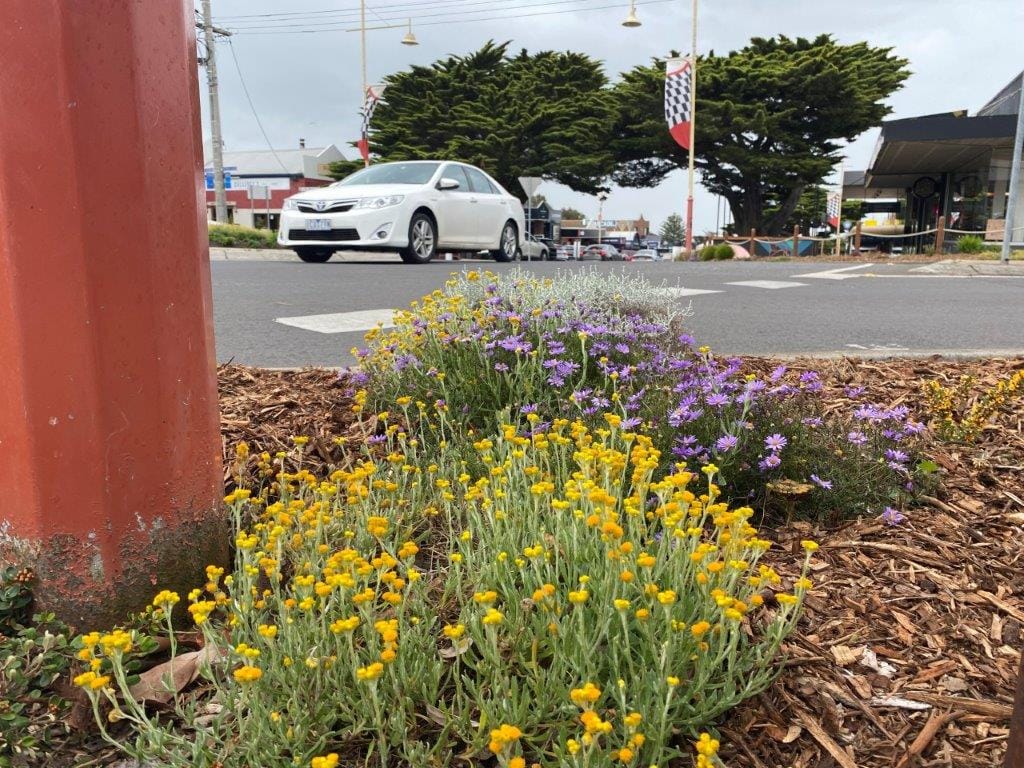 Out town gardens consistently earn the high praise of Bass Coast residents and ratepayers.