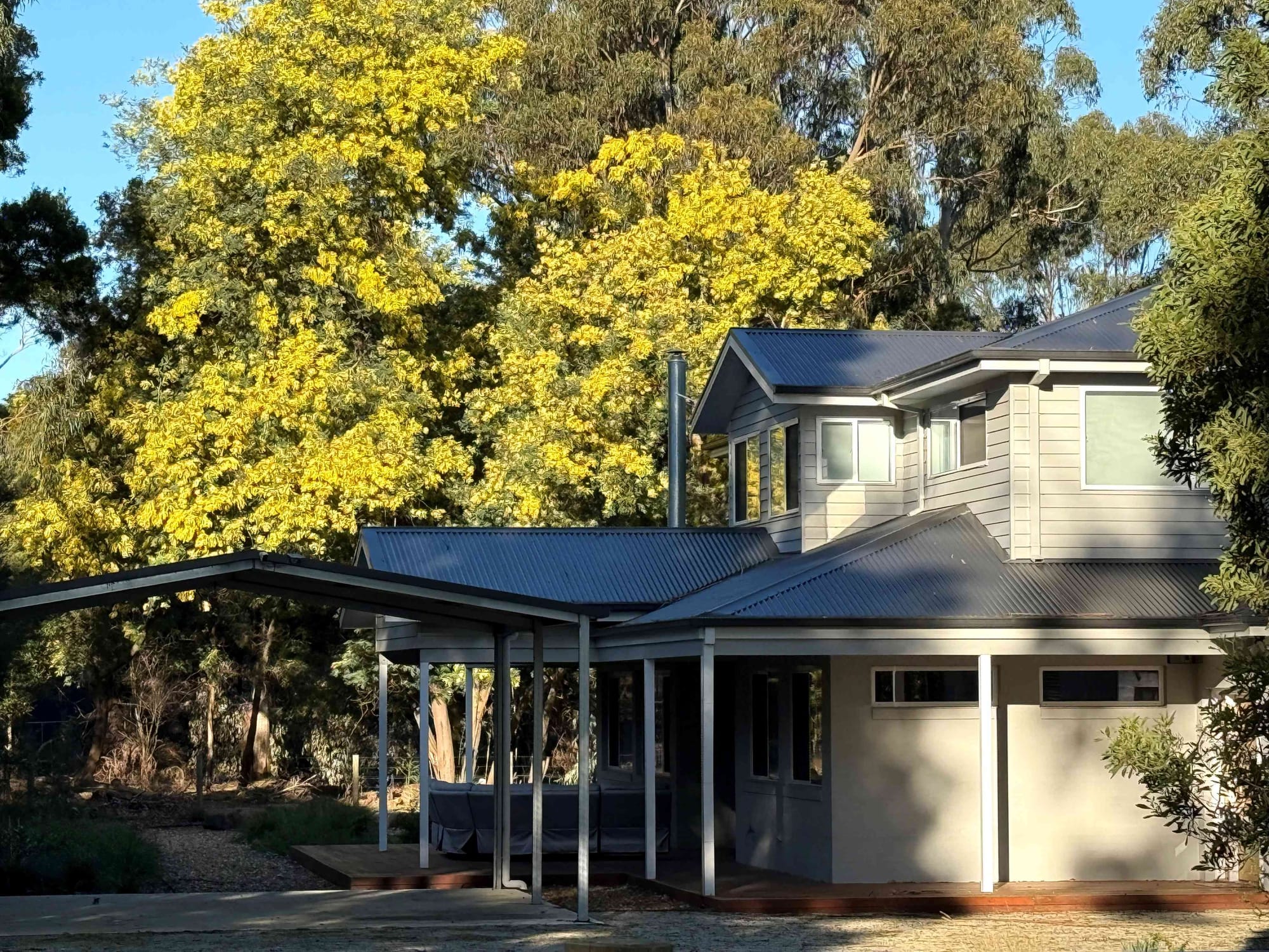 Erin Patterson in court for her plea hearing