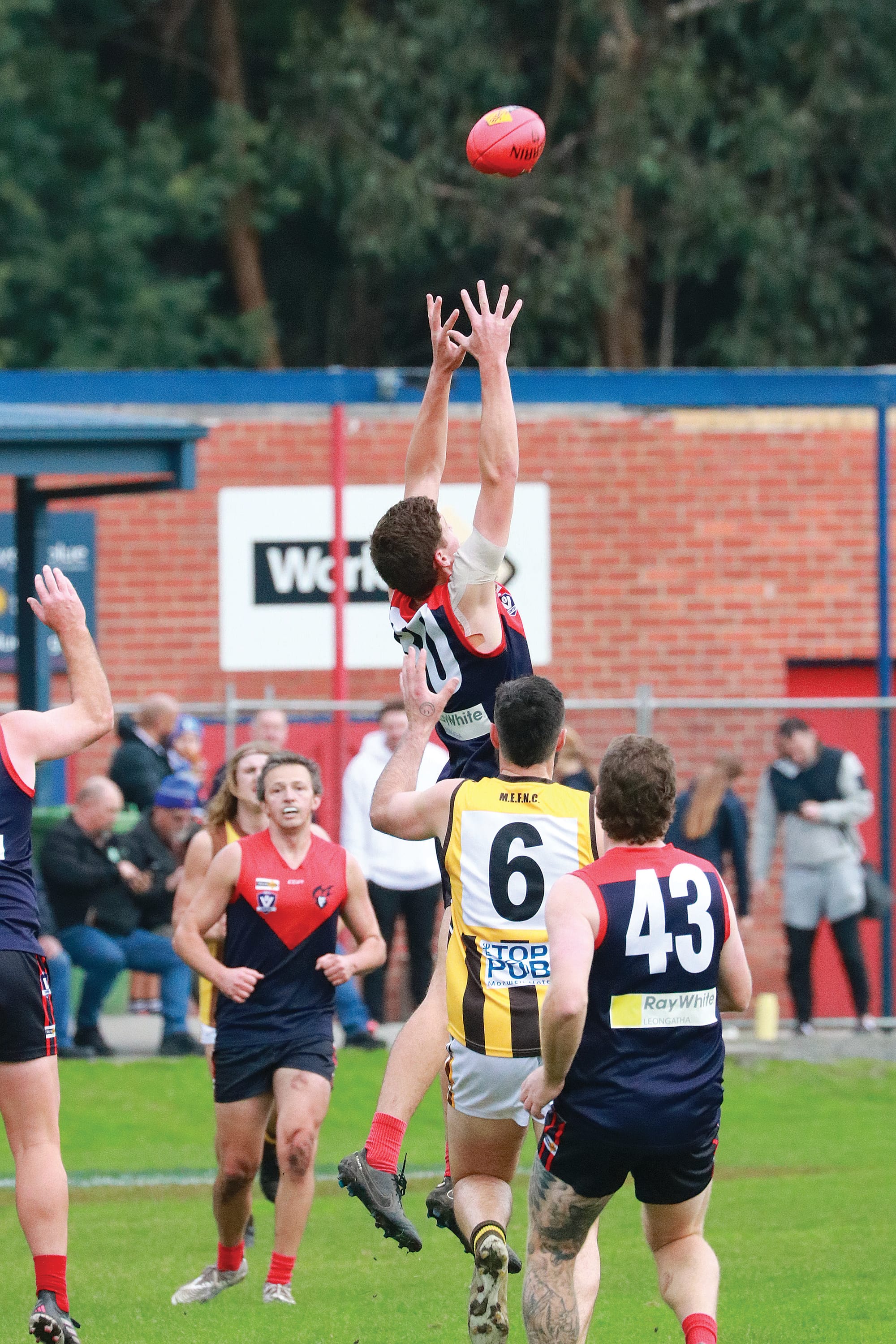 Connor Krohn goes for an overhead mark in the first term. Z24_2323 