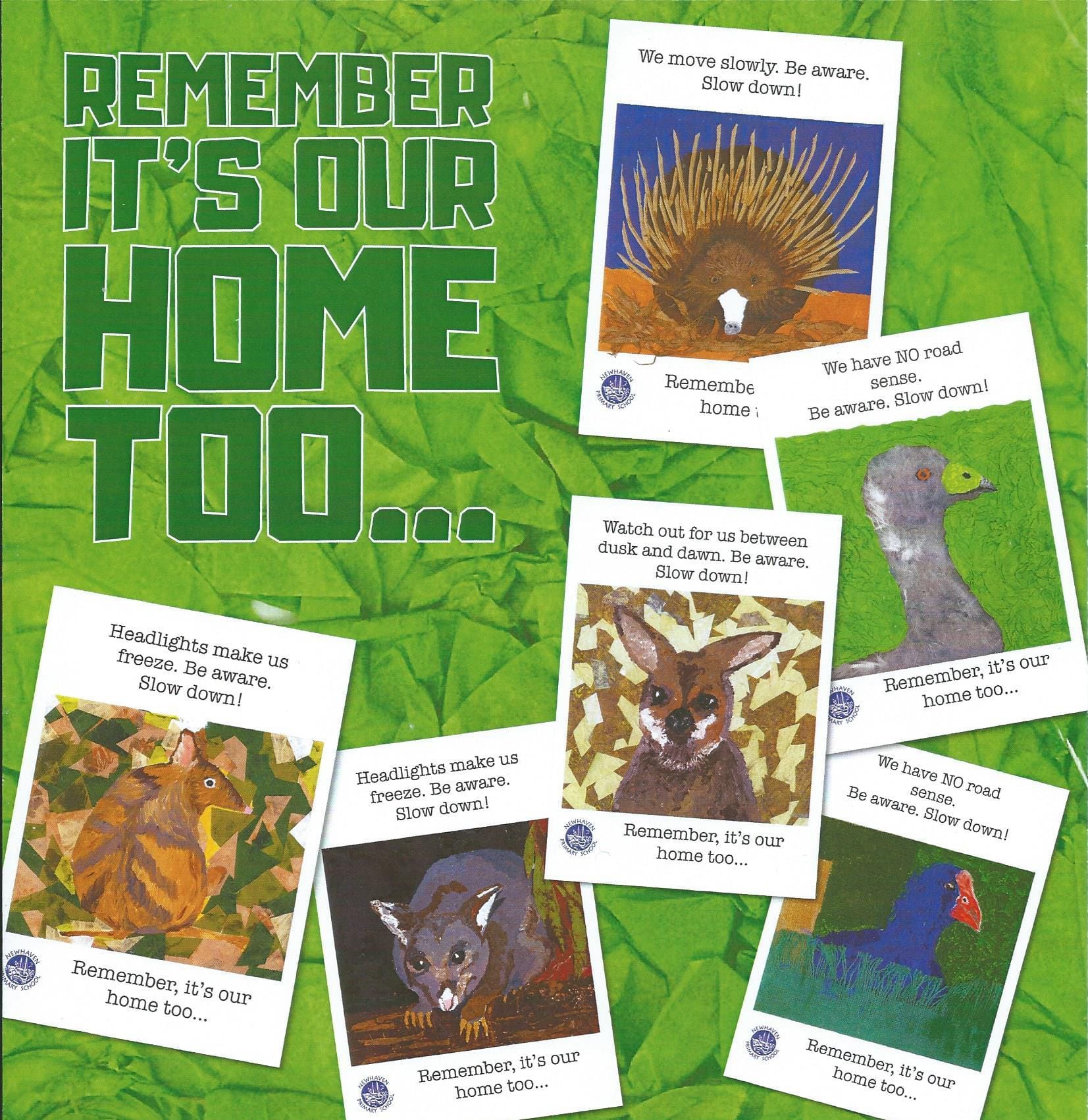 Postergate: How Council is killing community involvement at Berninneit