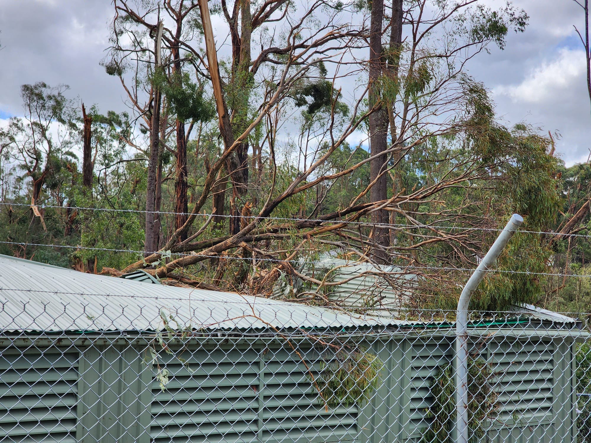 The shed at Mirboo North Pool was one of the casualties during Tuesday's storm, fortunately it was the only building impacted. 