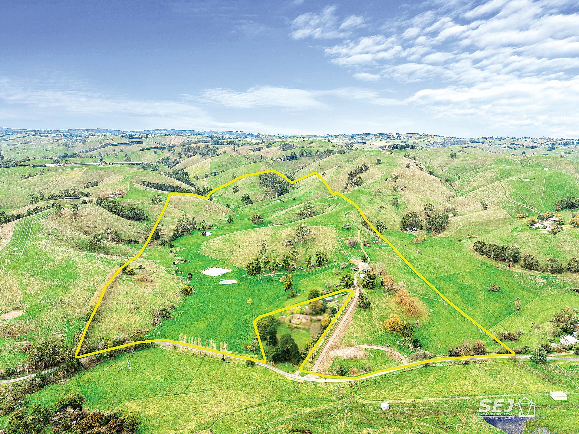 Productive blue gum grazing