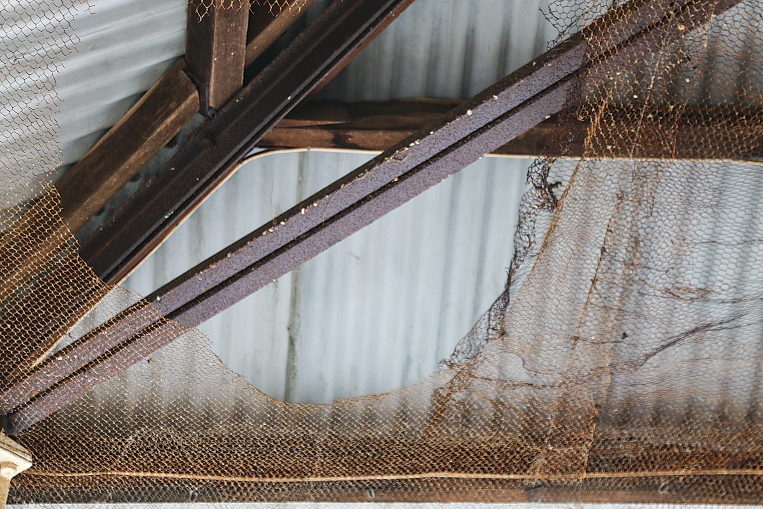 Wire netting to prevent birds nesting in the Leongatha grandstand is damaged in places. A04_3122