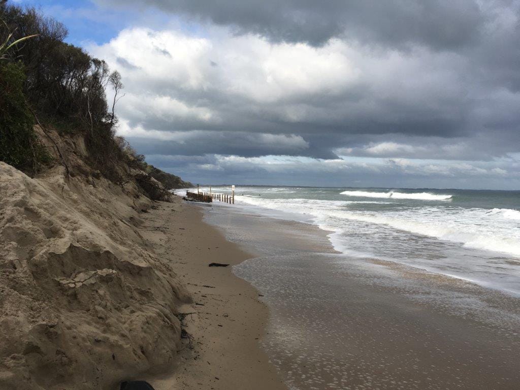 Makes the pandemic look like a picnic