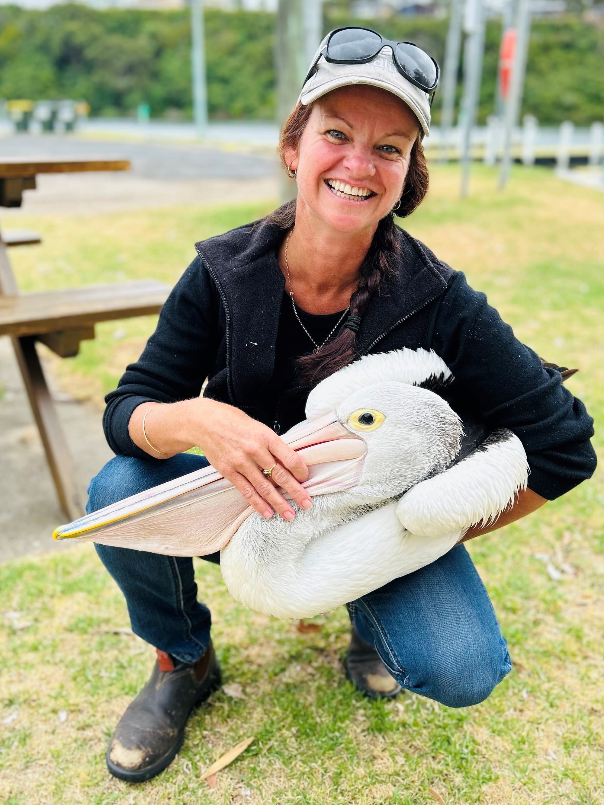 Last day to register for the Great Pelican Count this Sunday