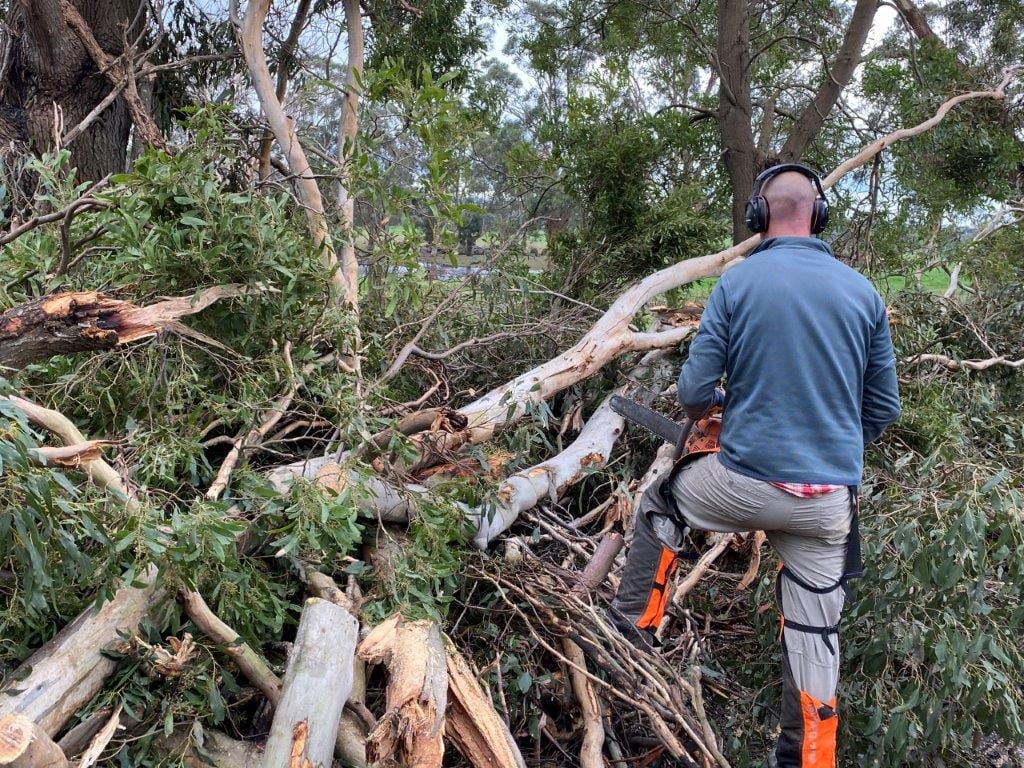 Free green waste but only South Gippslanders!