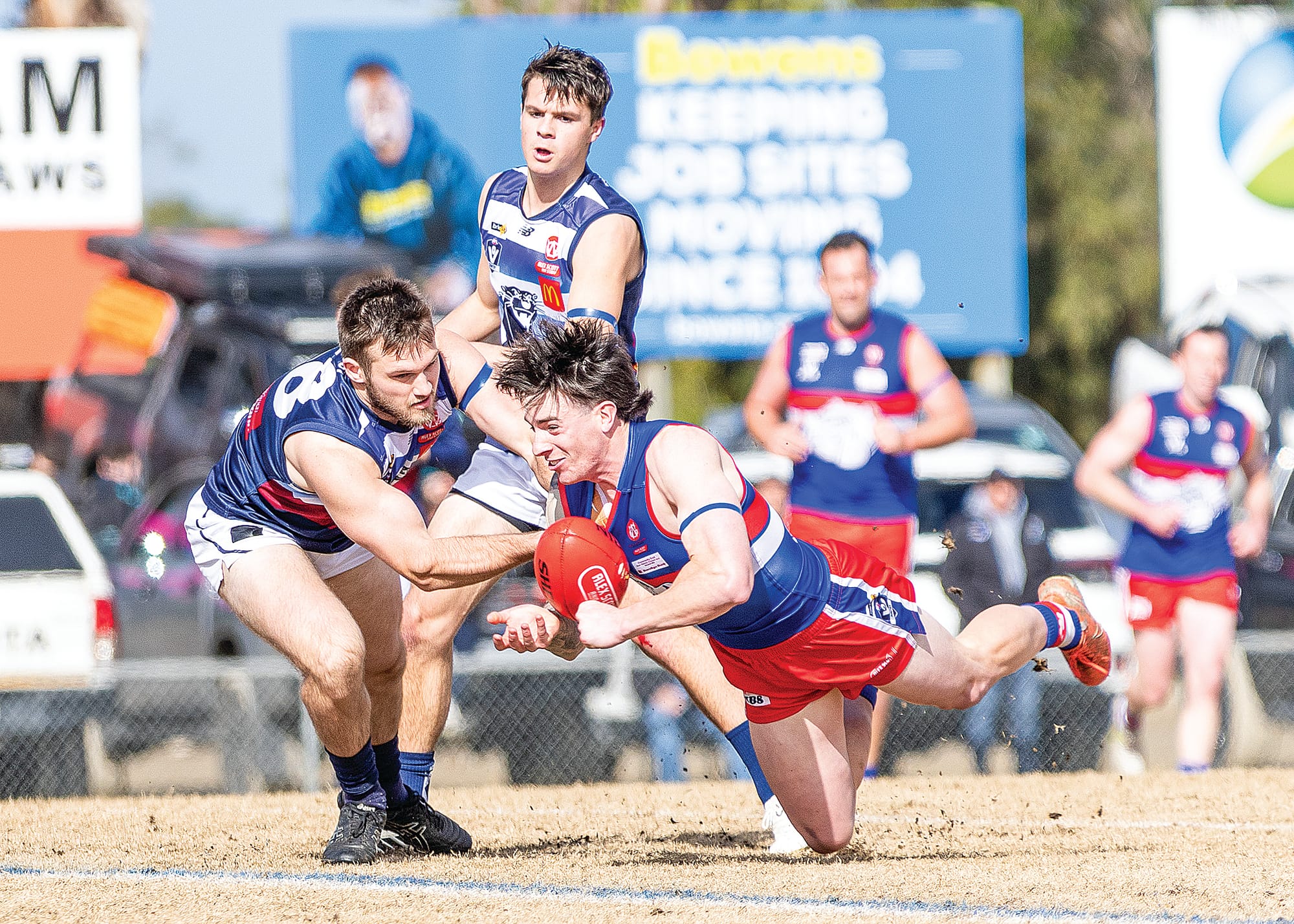 Finals fever for the Bulldogs