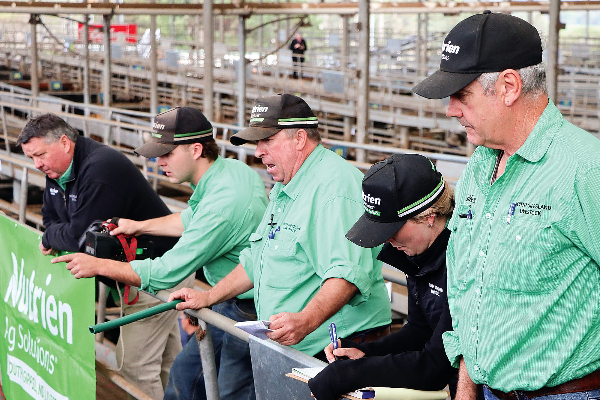 Mixed offerings at Koonwarra