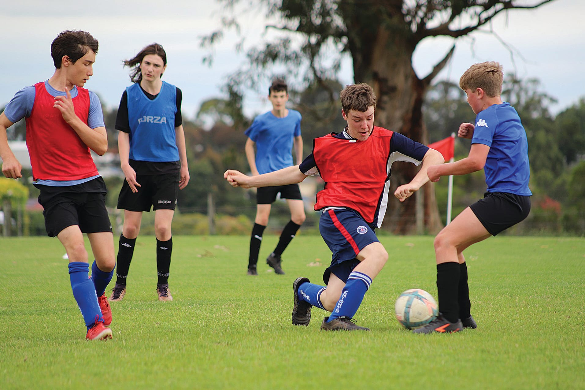 Gear up for Go Fives with the Knights