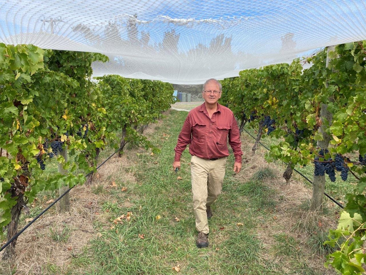 Purple Hen best of the best at Gippsland wine awards