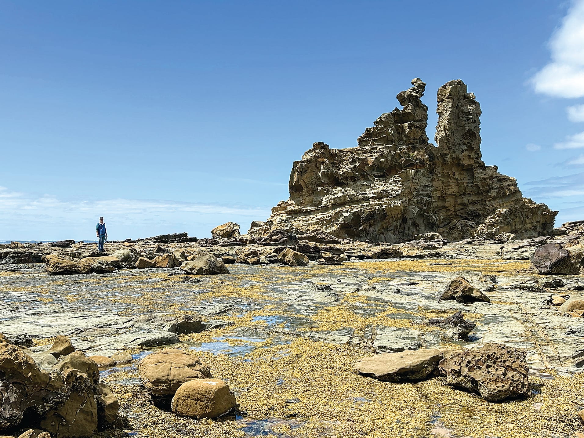 Eagles Nest is a featured walk for the Bass Coast Strollers in September.