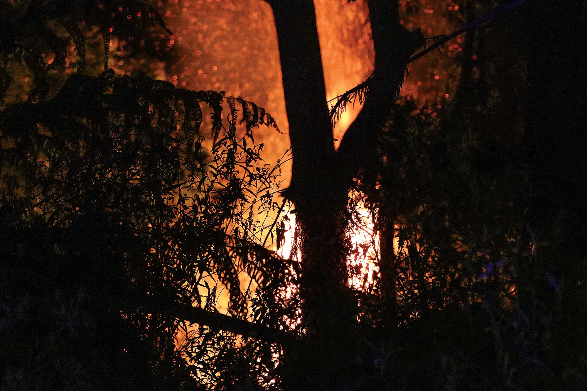 The bonfire makes a spectacular sight at Coal Creek, with the fire brigade on hand to ensure the situation remained under control. A47_2325