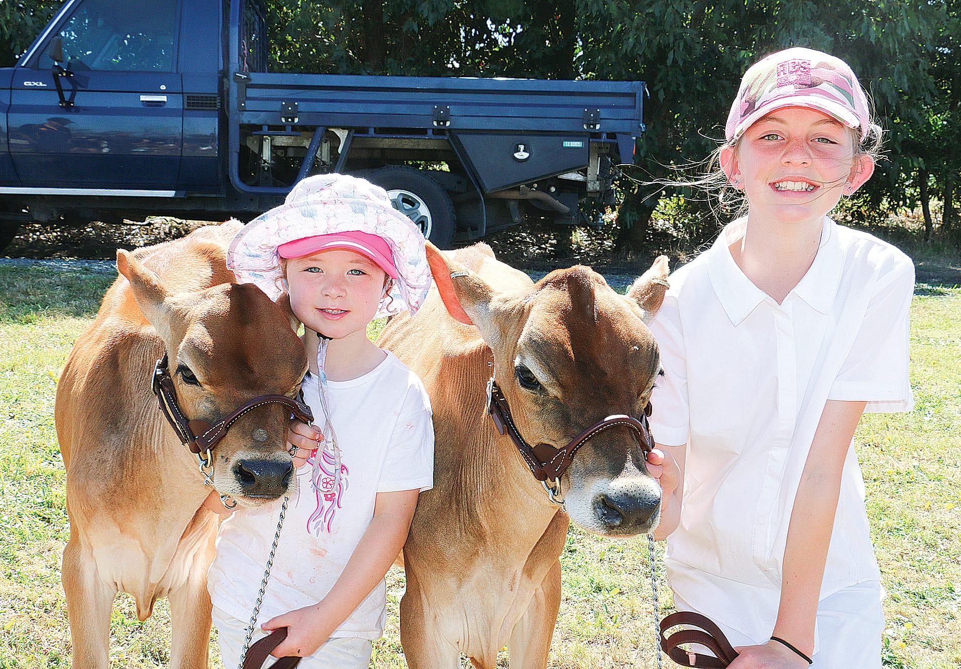 Talia Ferris of Drouin and Ella Braumann of Wonthaggi were showing jerseys at the Korumburra Show. They were preparing to show their cattle in the Pair of Heifers class. 