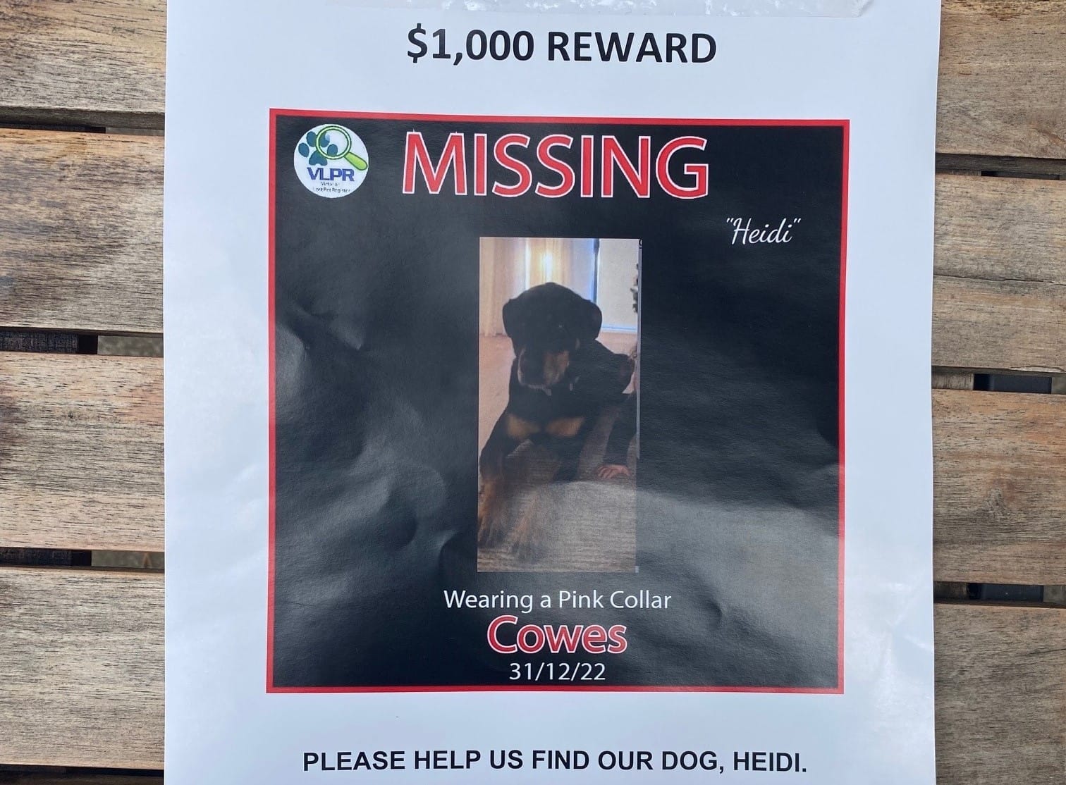 Lost Island pouch finds ‘a dog’s way home’