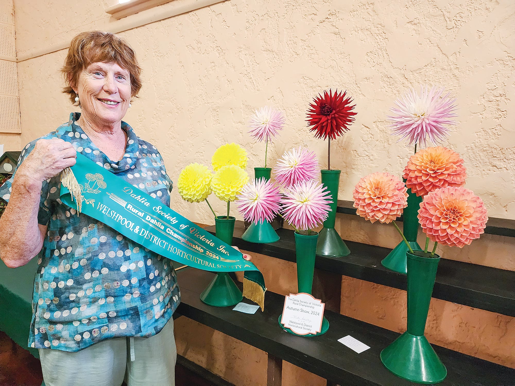 Welshpool Autumn Show flourishes