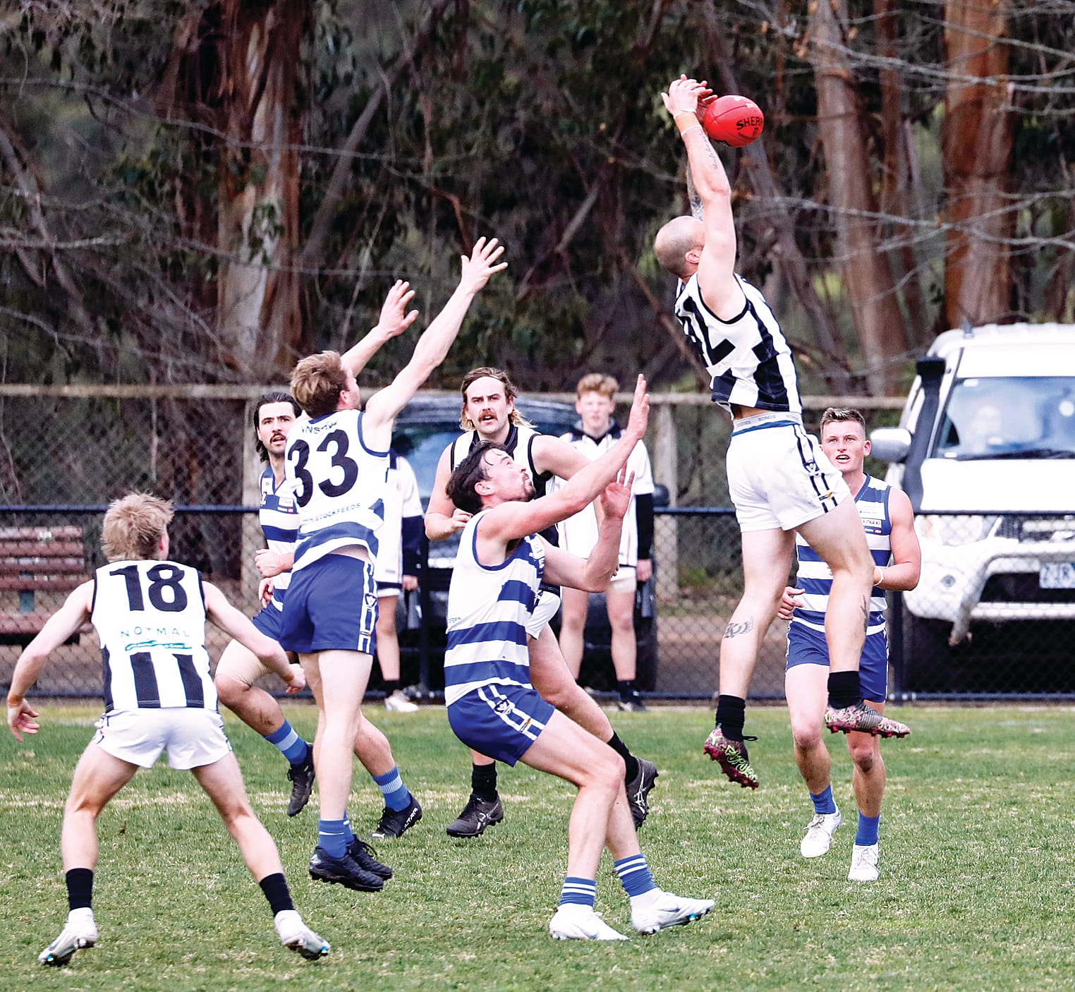 Neerim outclasses Poowong