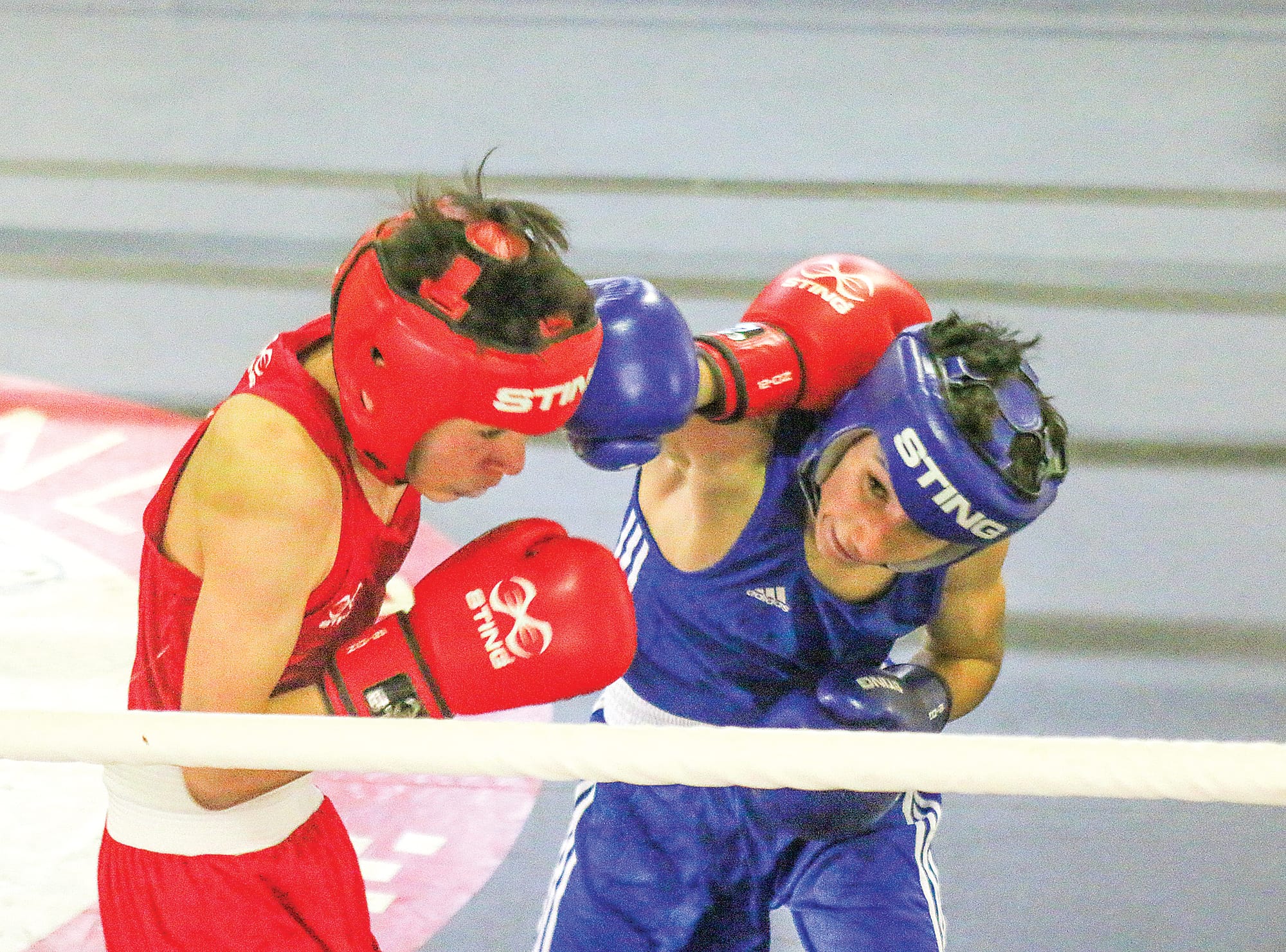 Boxers converge for Corner Inlet Cup 5