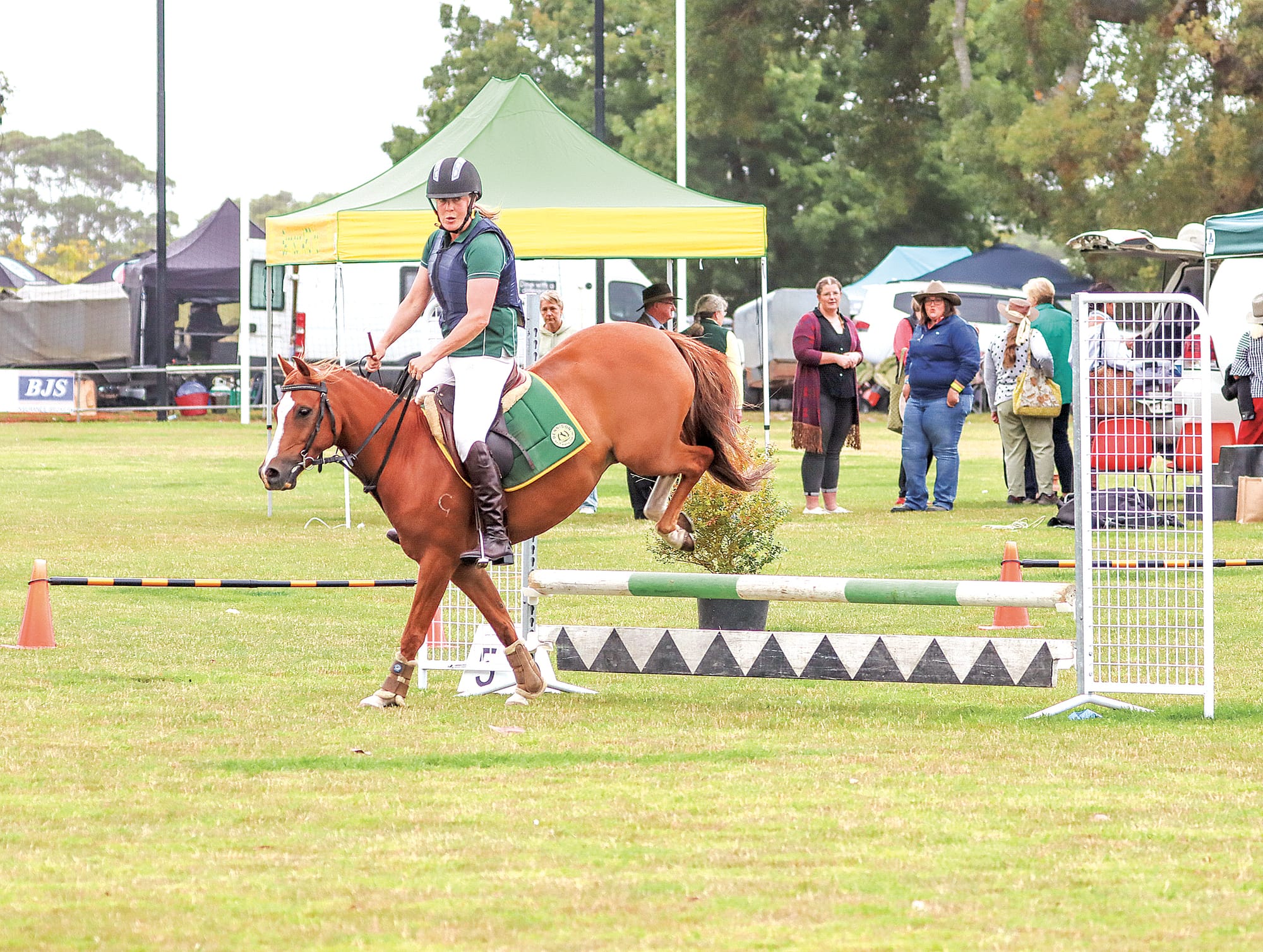 Foster Show an action packed day