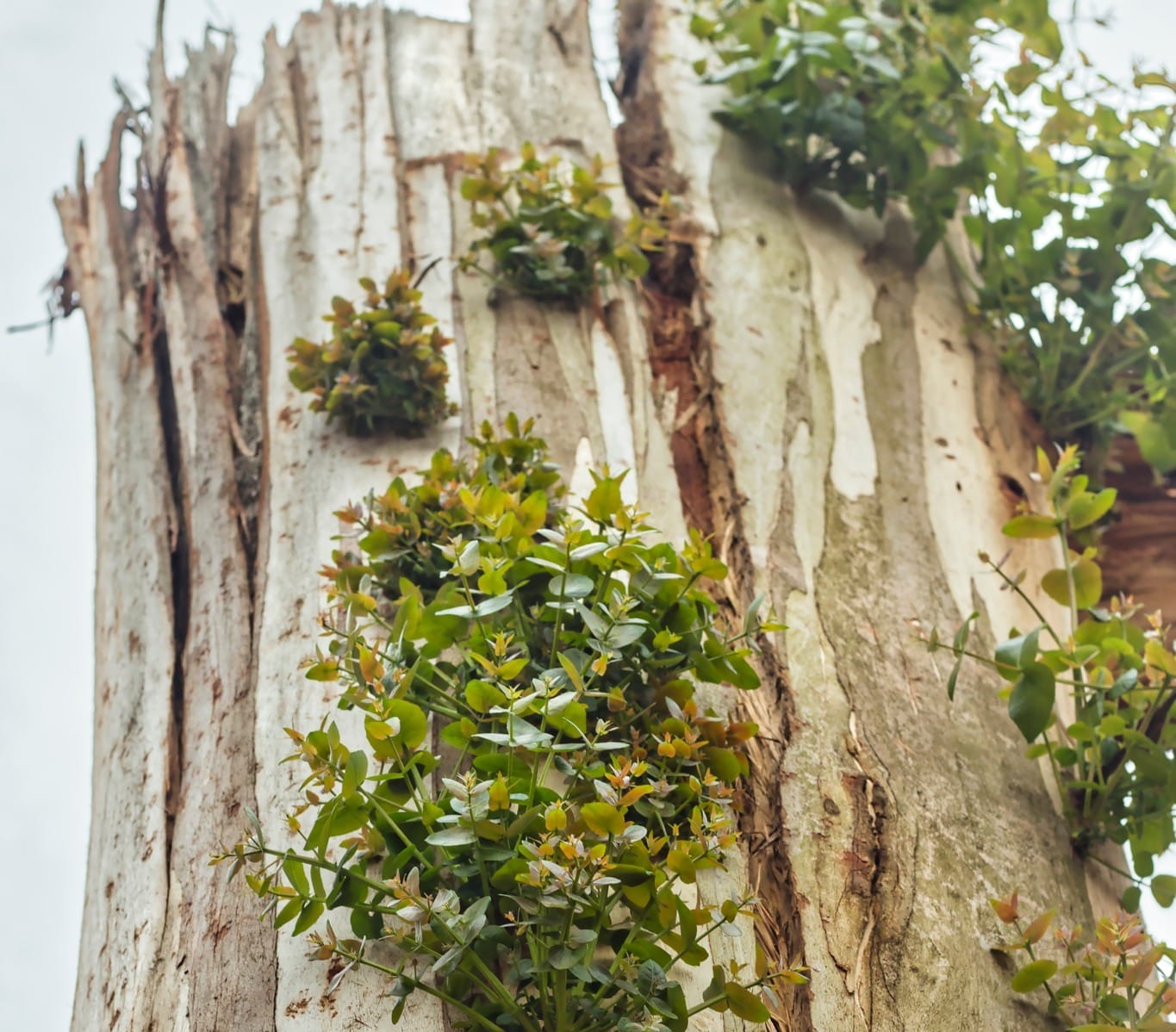 Coroner reports findings from farmers death during Mirboo North storm