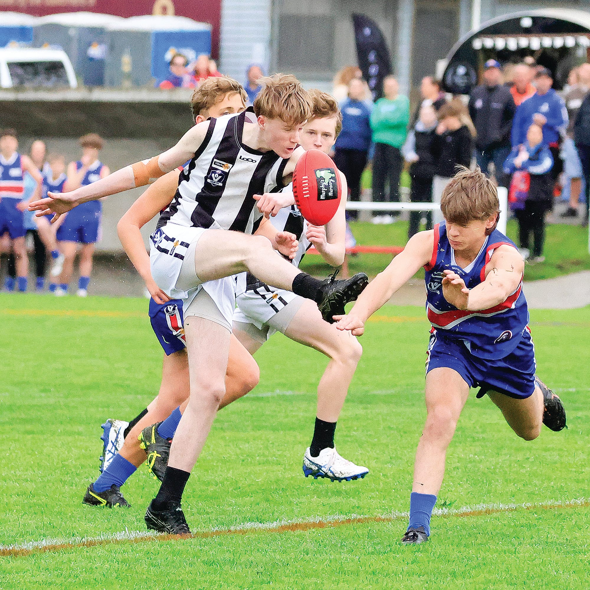 Desperate pressure is applied by Bunyip as Dylan Canavan boots the ball towards Poowong’s forward line in U16 Ellinbank & District Grand Final. Photos: Jeff Tull.