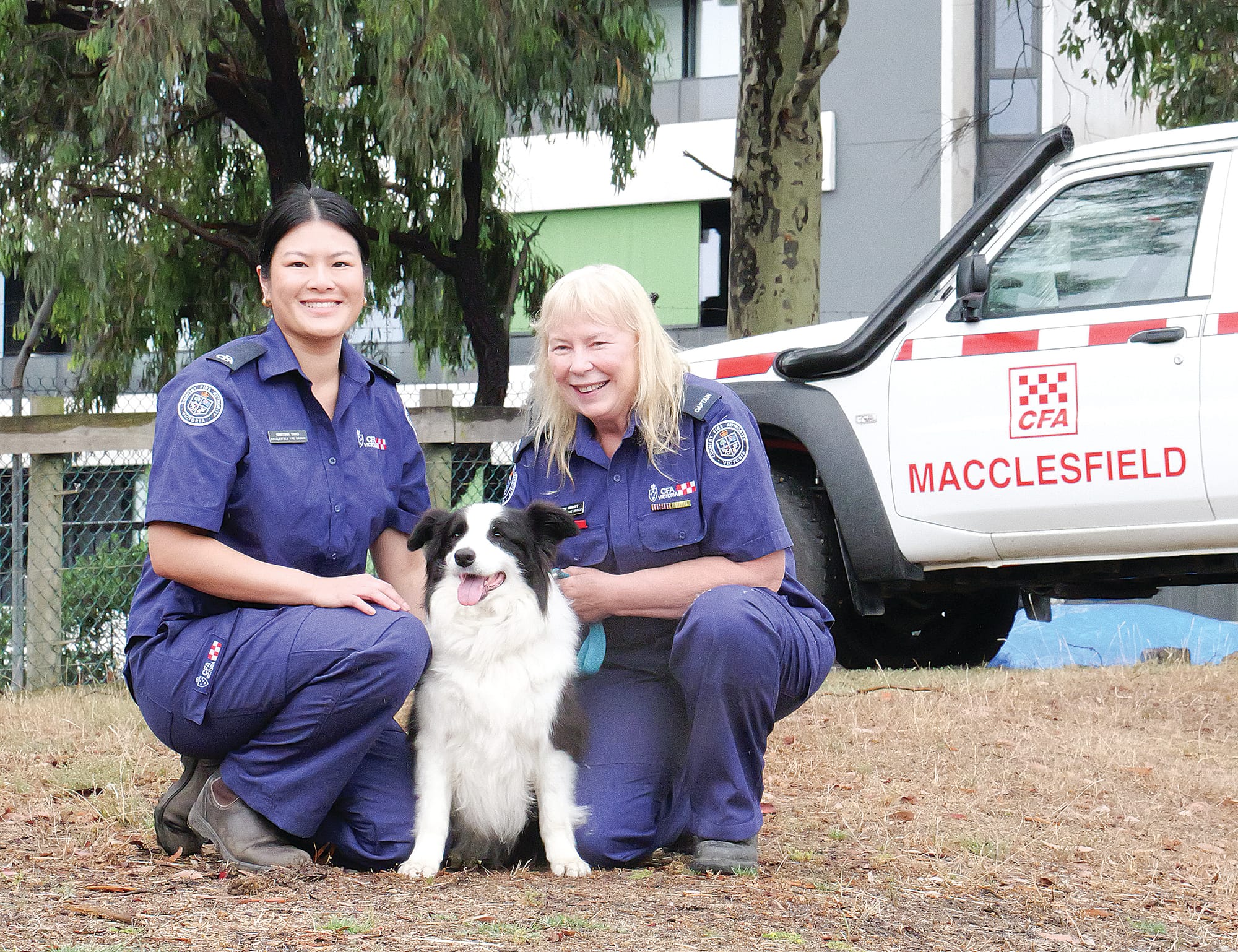 Make sure your pets are part of your bushfire survival plan