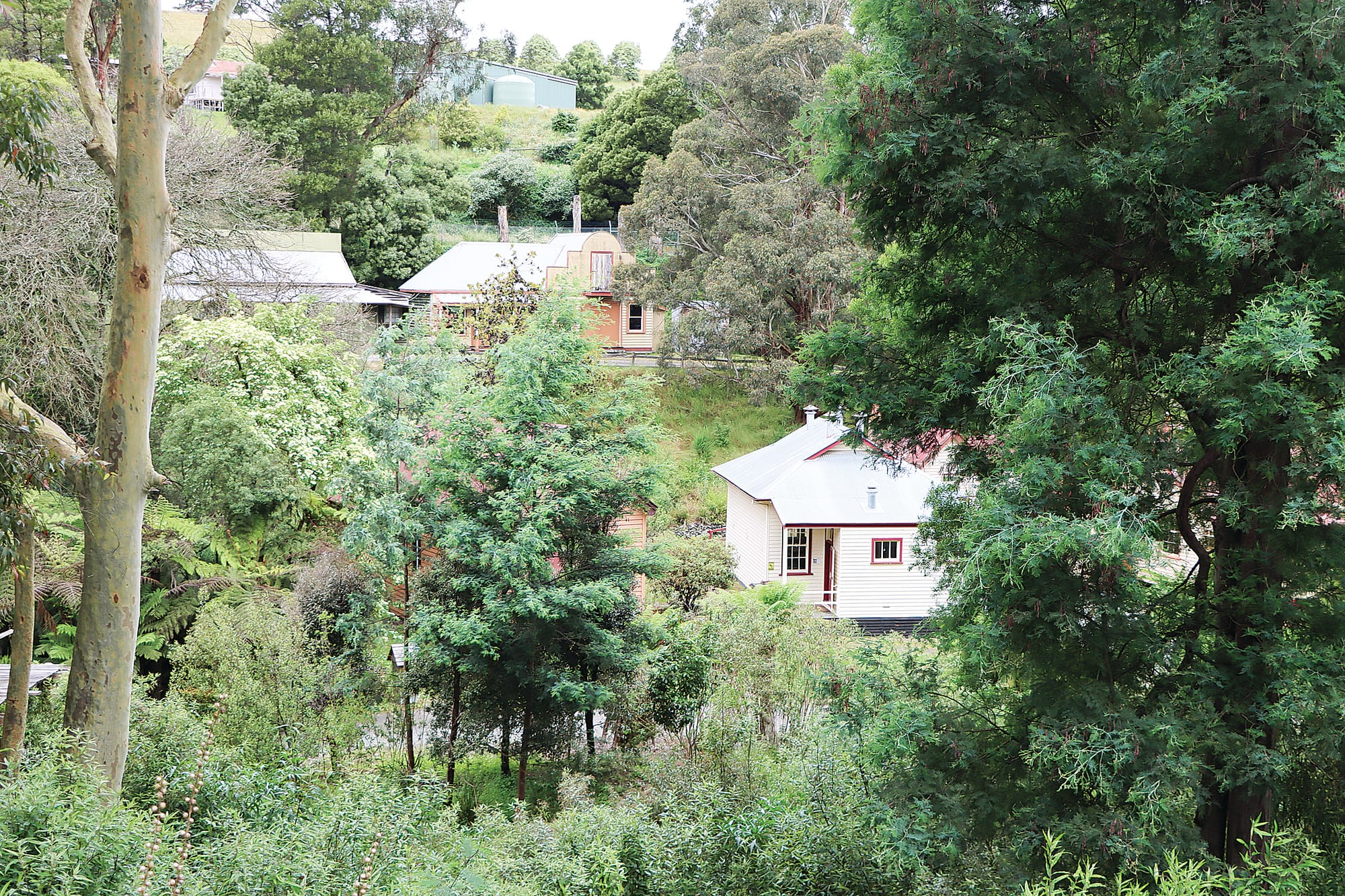 Coal Creek decision making platform skewed, Cr Darakai says