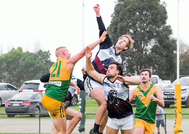 Panthers leave the field for COVID testing team