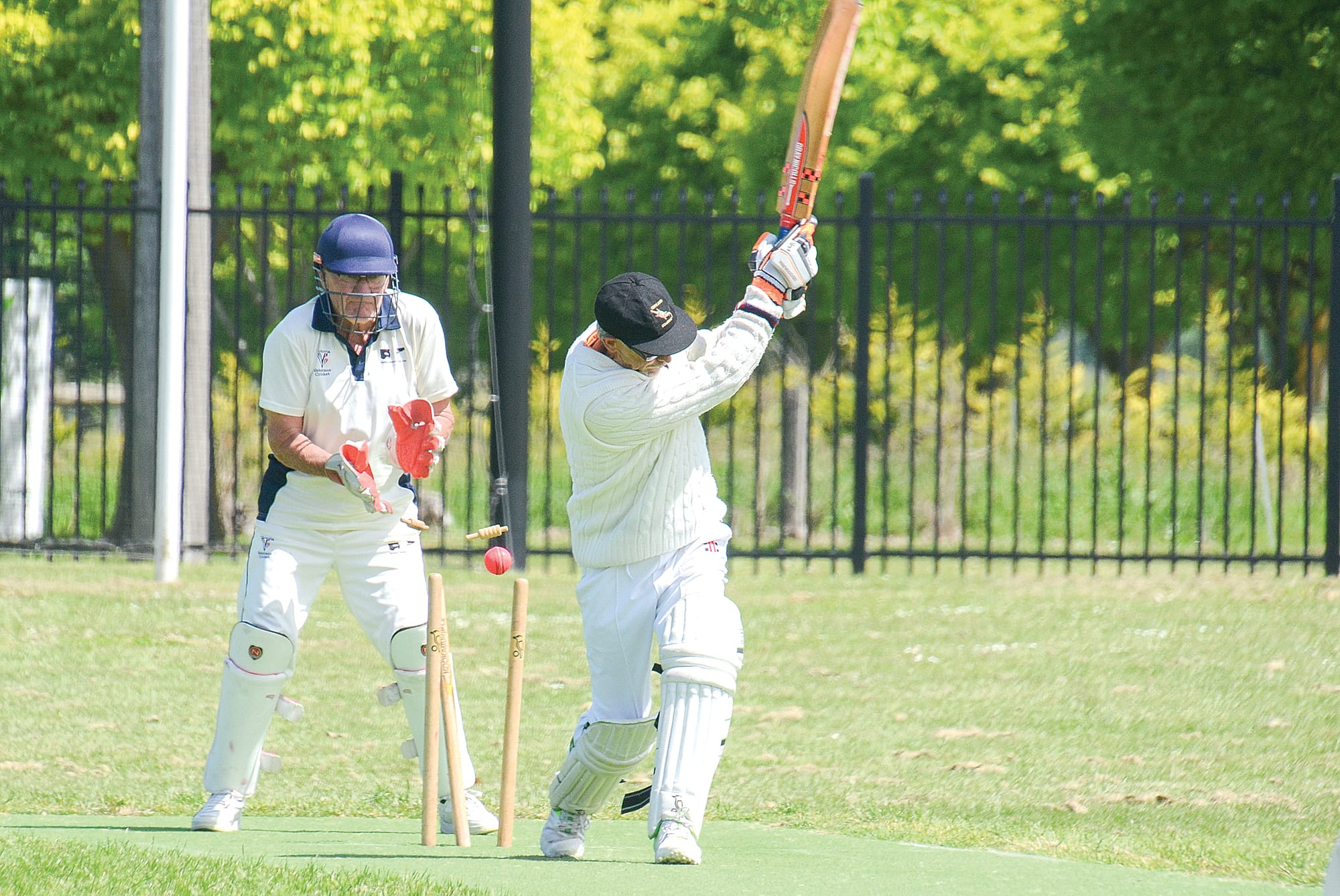Goannas’ Derek Morris from Churchill clean bowled in the Over 70’s game against Geelong.