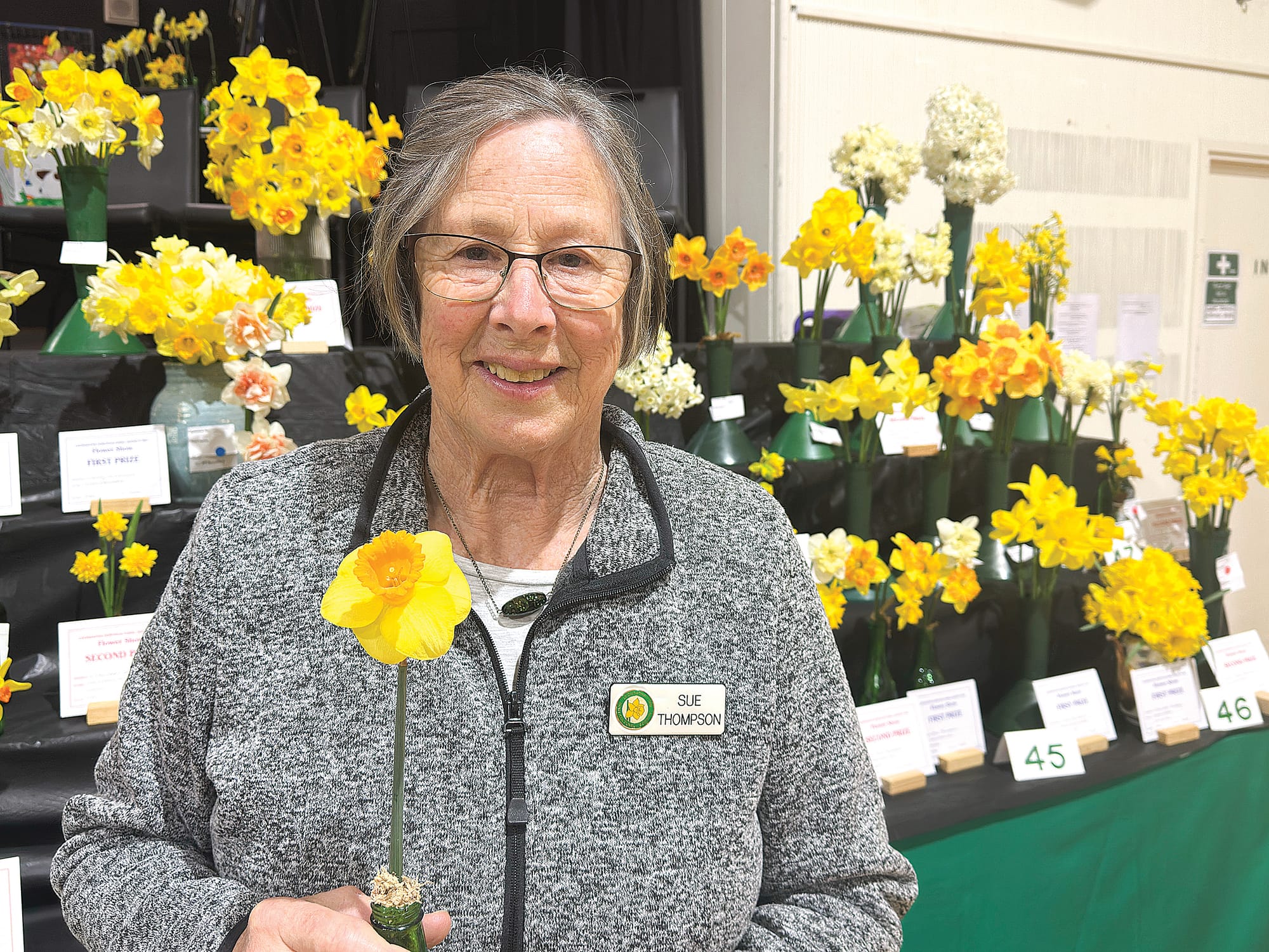 Champion Daffodil pays homage to late daffodil enthusiast
