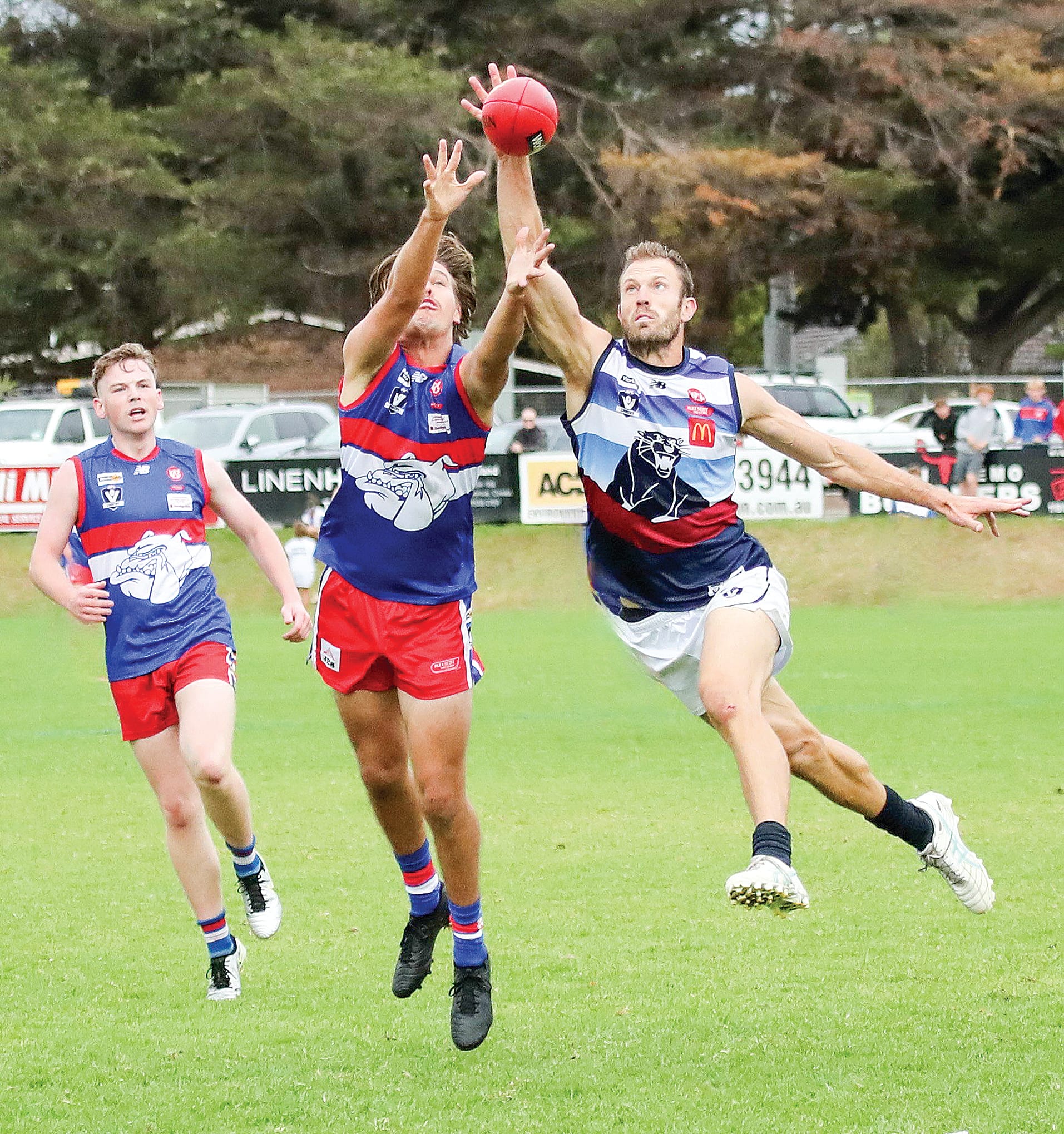 Tough and honest but not enough for Killy Bass