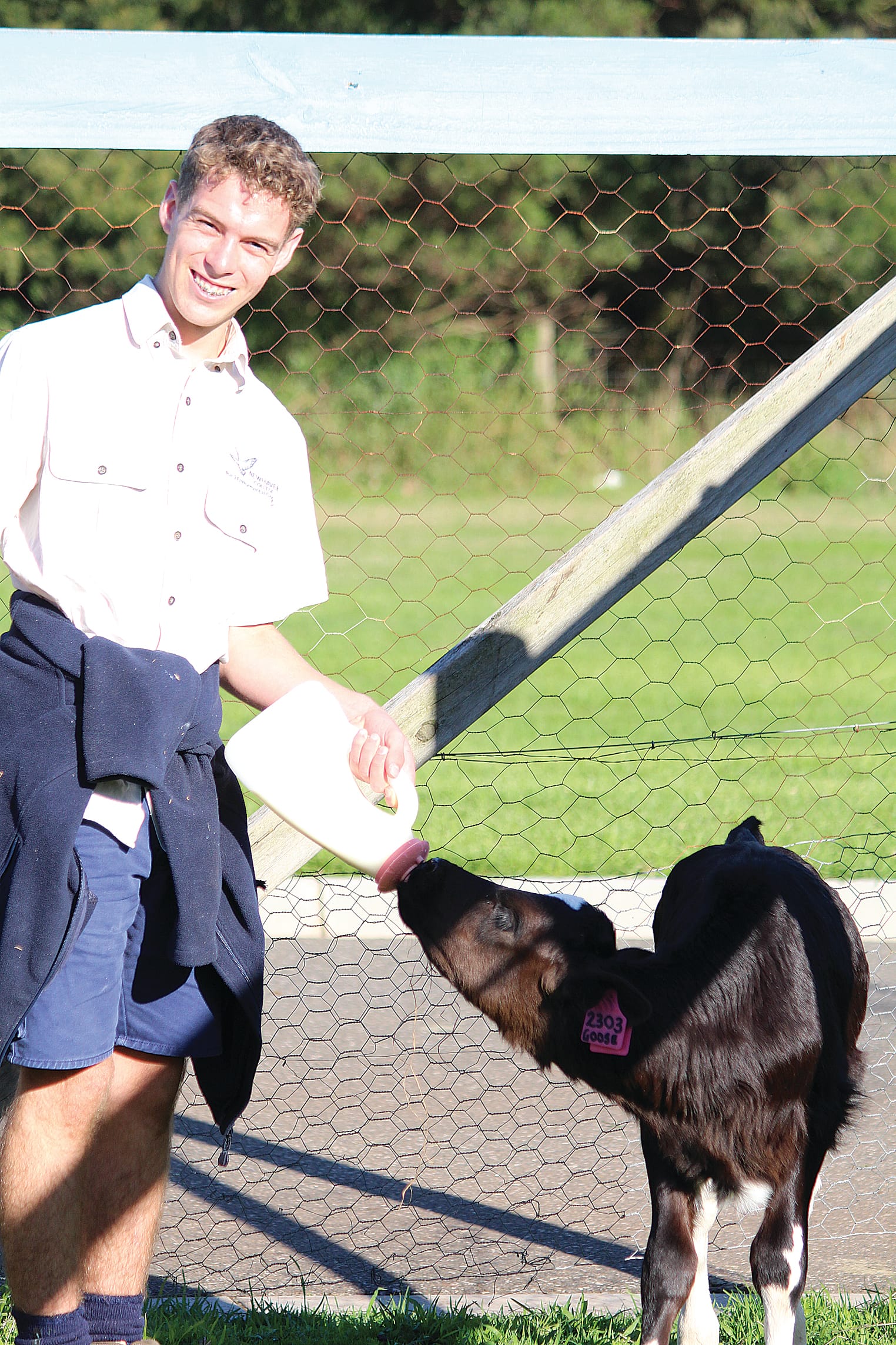 Mitch White feeding one of the calves during the Cows Create Careers program.